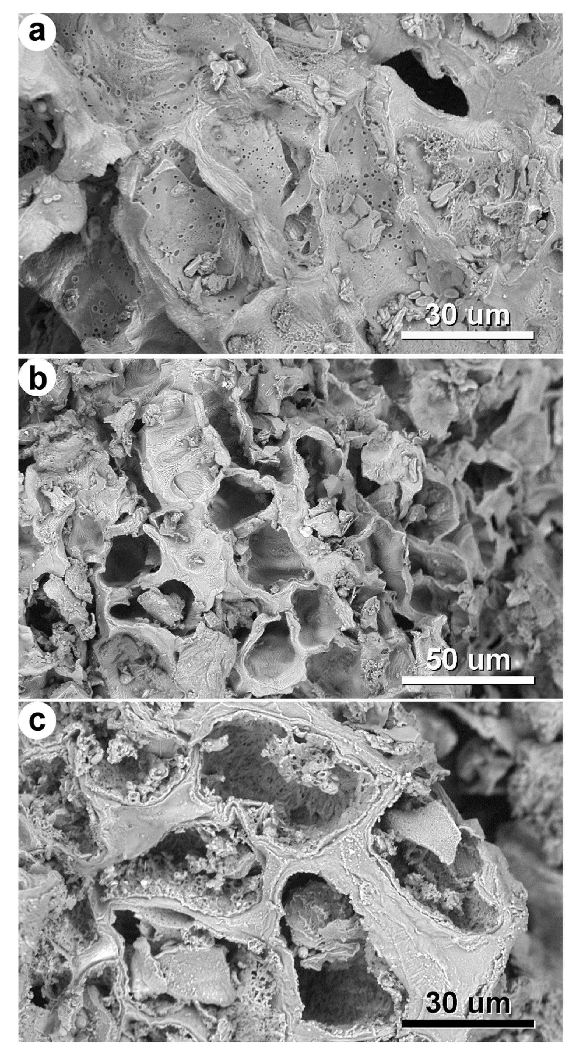 Sustainability 15 10700 g001 Sustainability 15 10700 g001