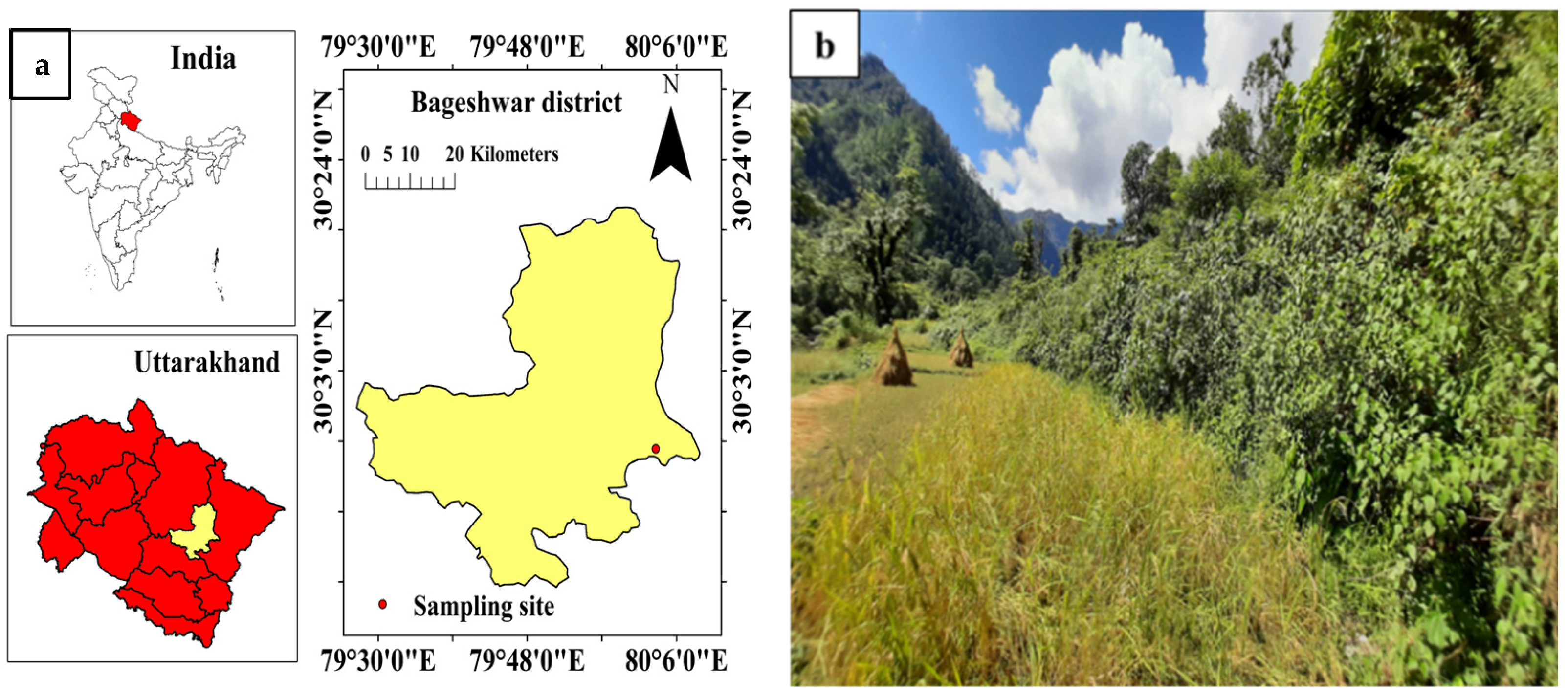 Sustainability 15 10748 g001a
