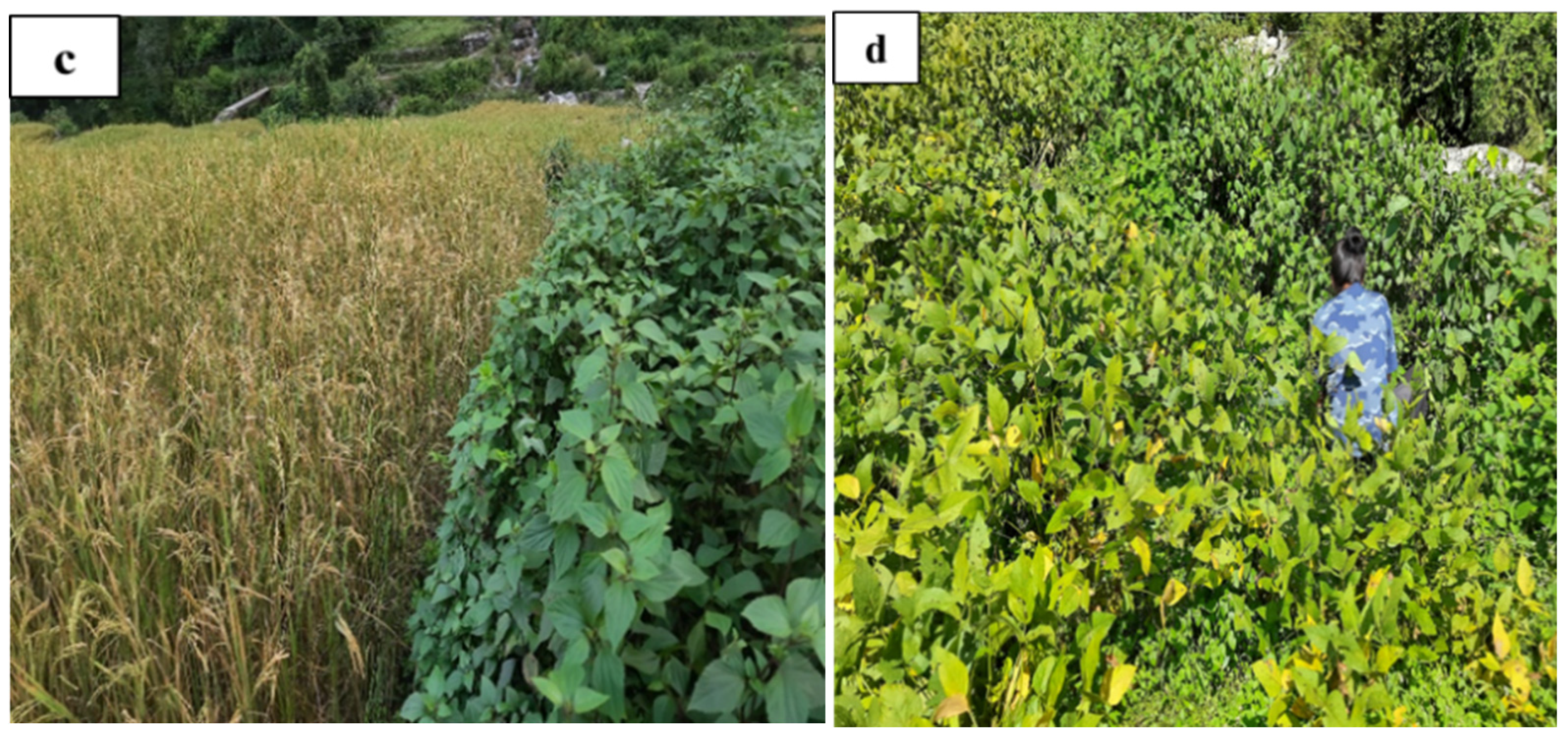 Sustainability 15 10748 g001b