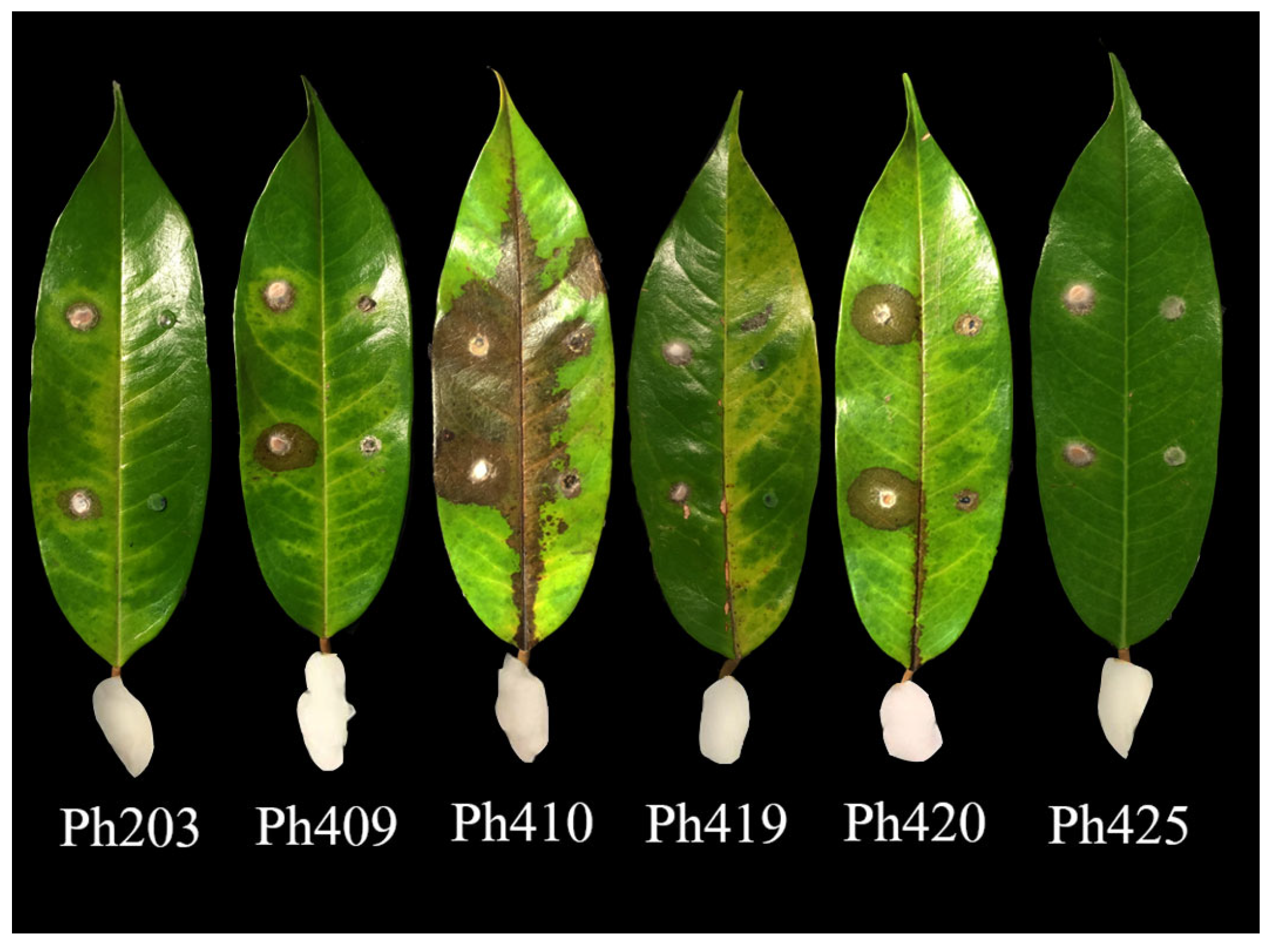 Sustainability 15 10842 g003