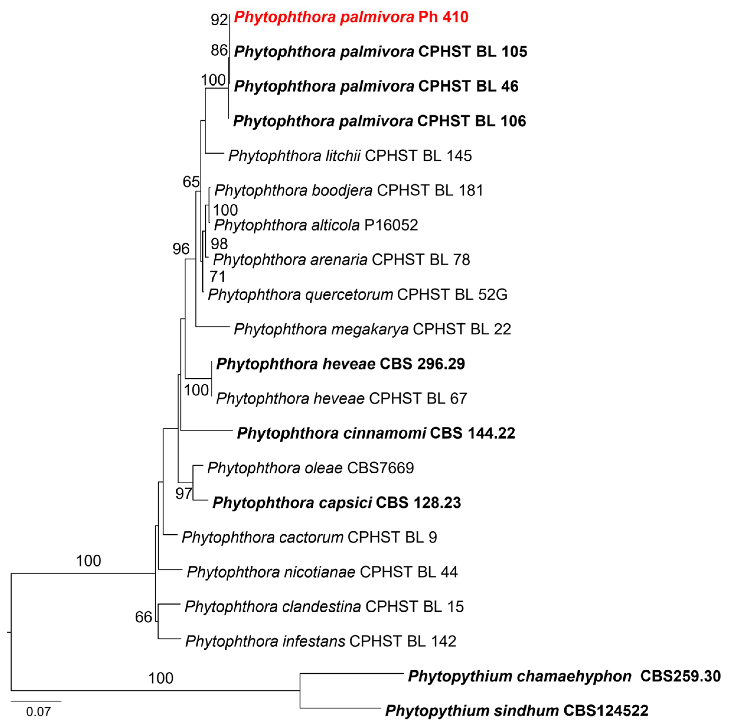 Sustainability 15 10842 g004