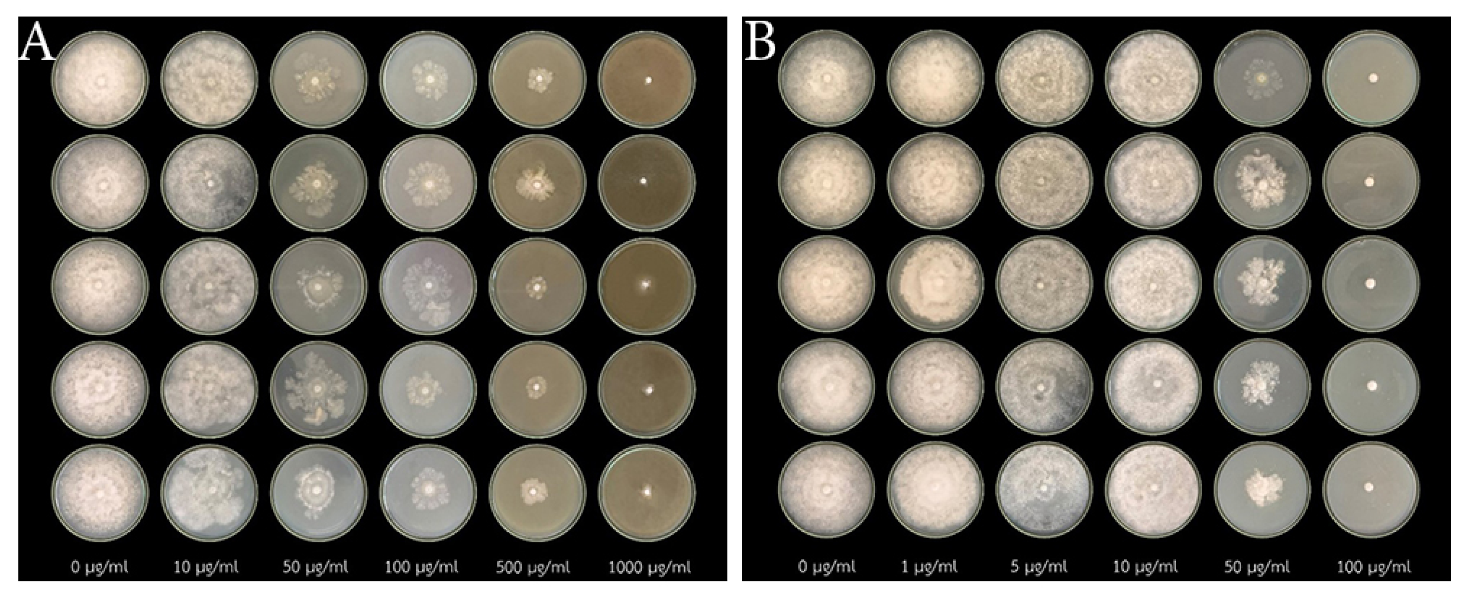 Sustainability 15 10842 g005
