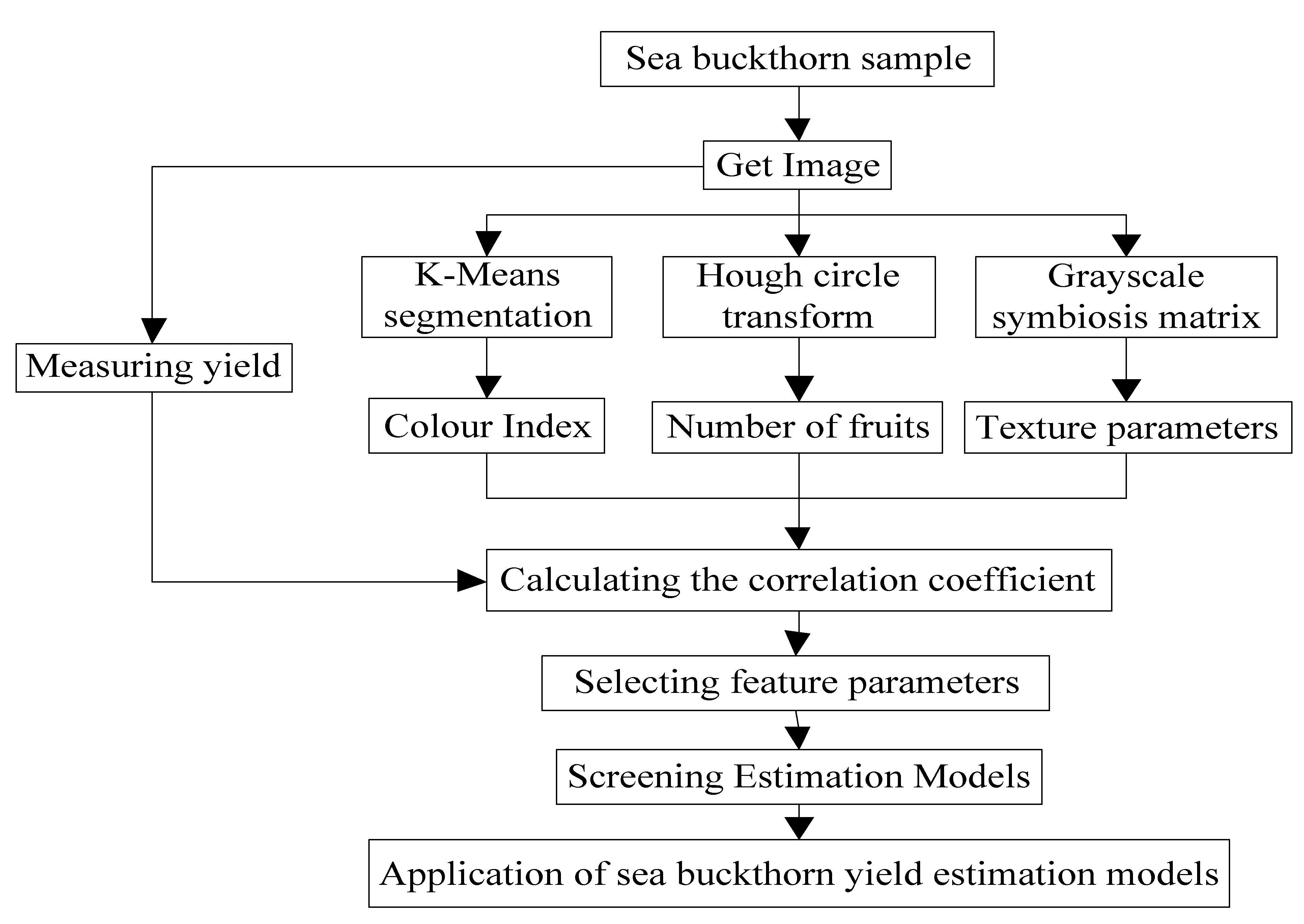 Sustainability 15 10872 g002