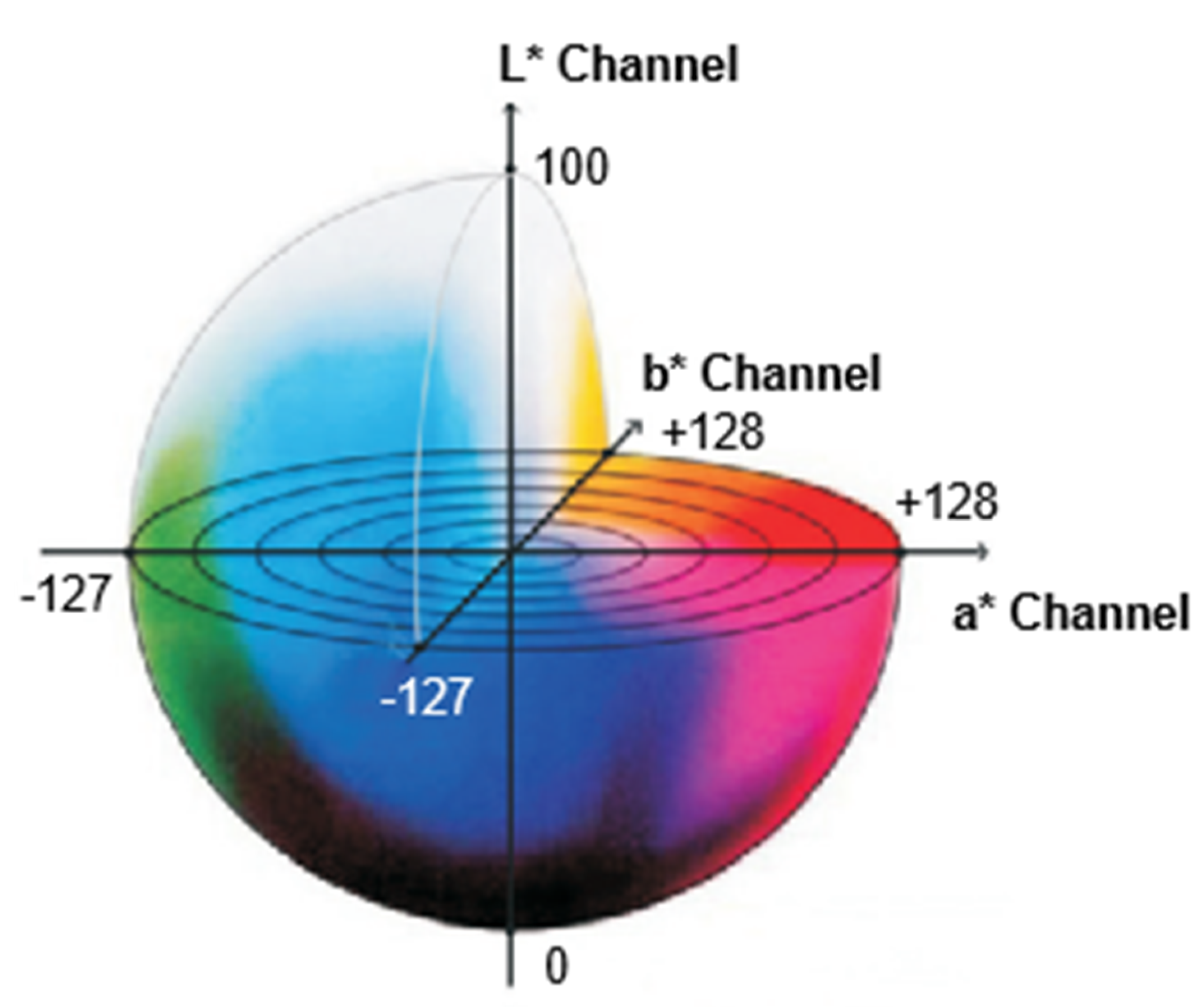 Sustainability 15 10872 g003