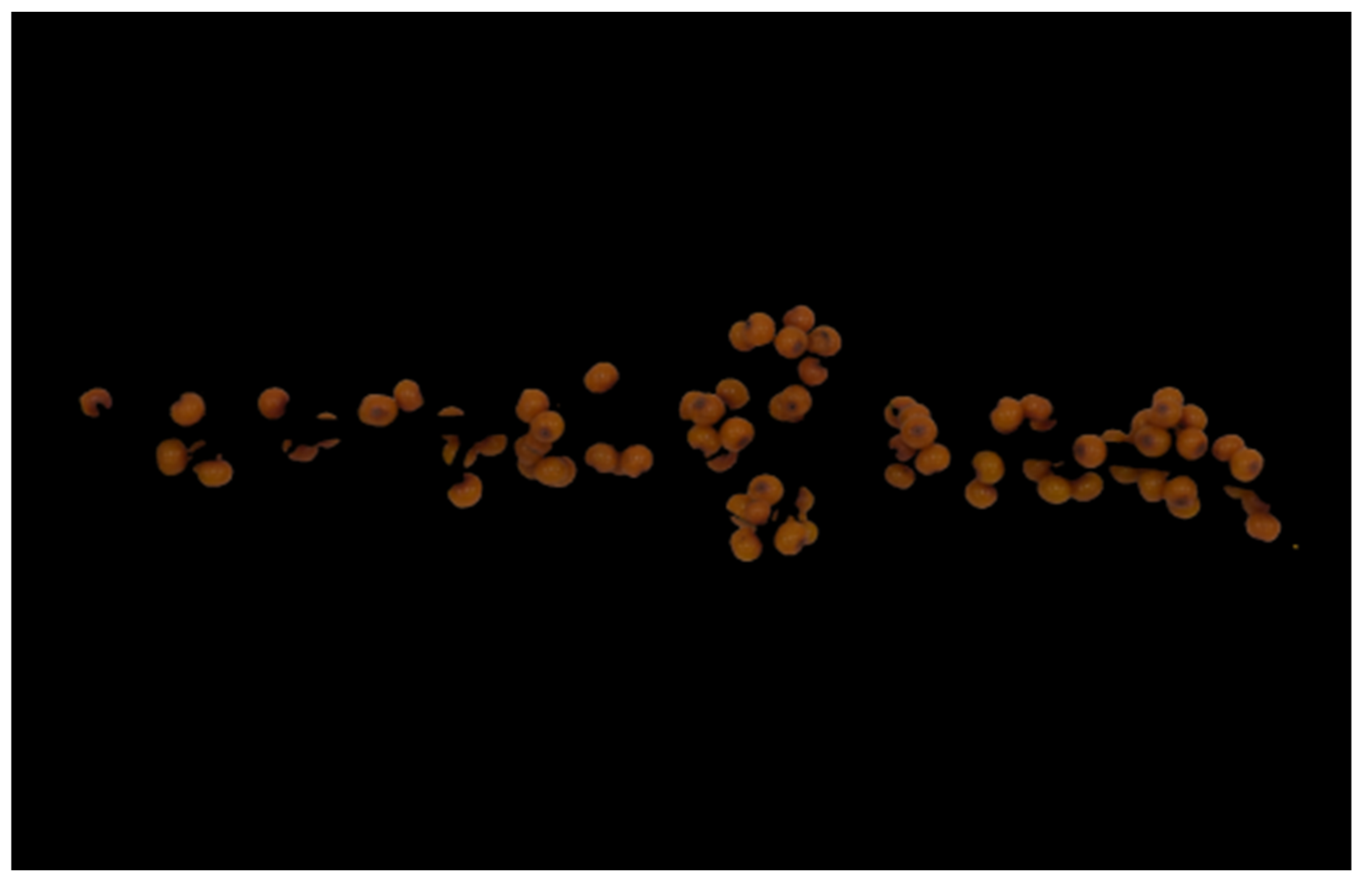 Sustainability 15 10872 g005