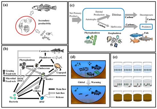 Sustainability 15 10950 g003