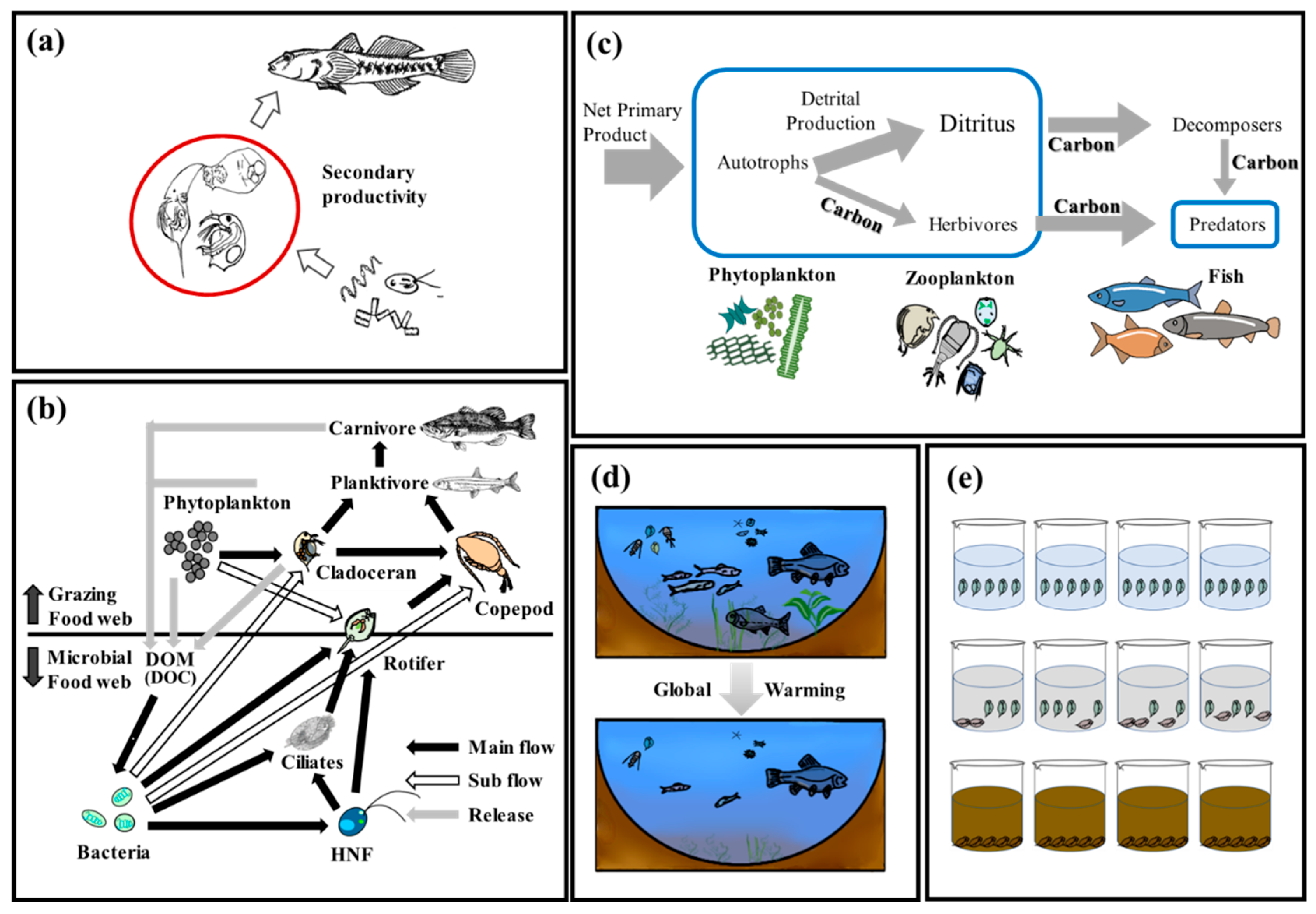 Sustainability 15 10950 g003