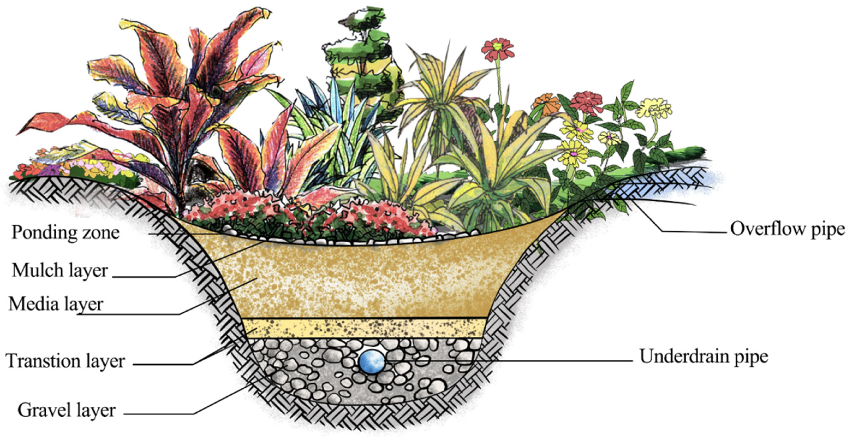 Sustainability 15 10990 g002