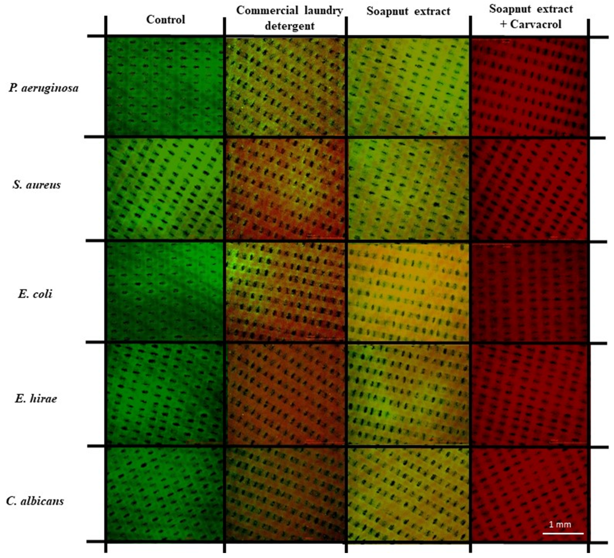 Sustainability 15 11029 g004