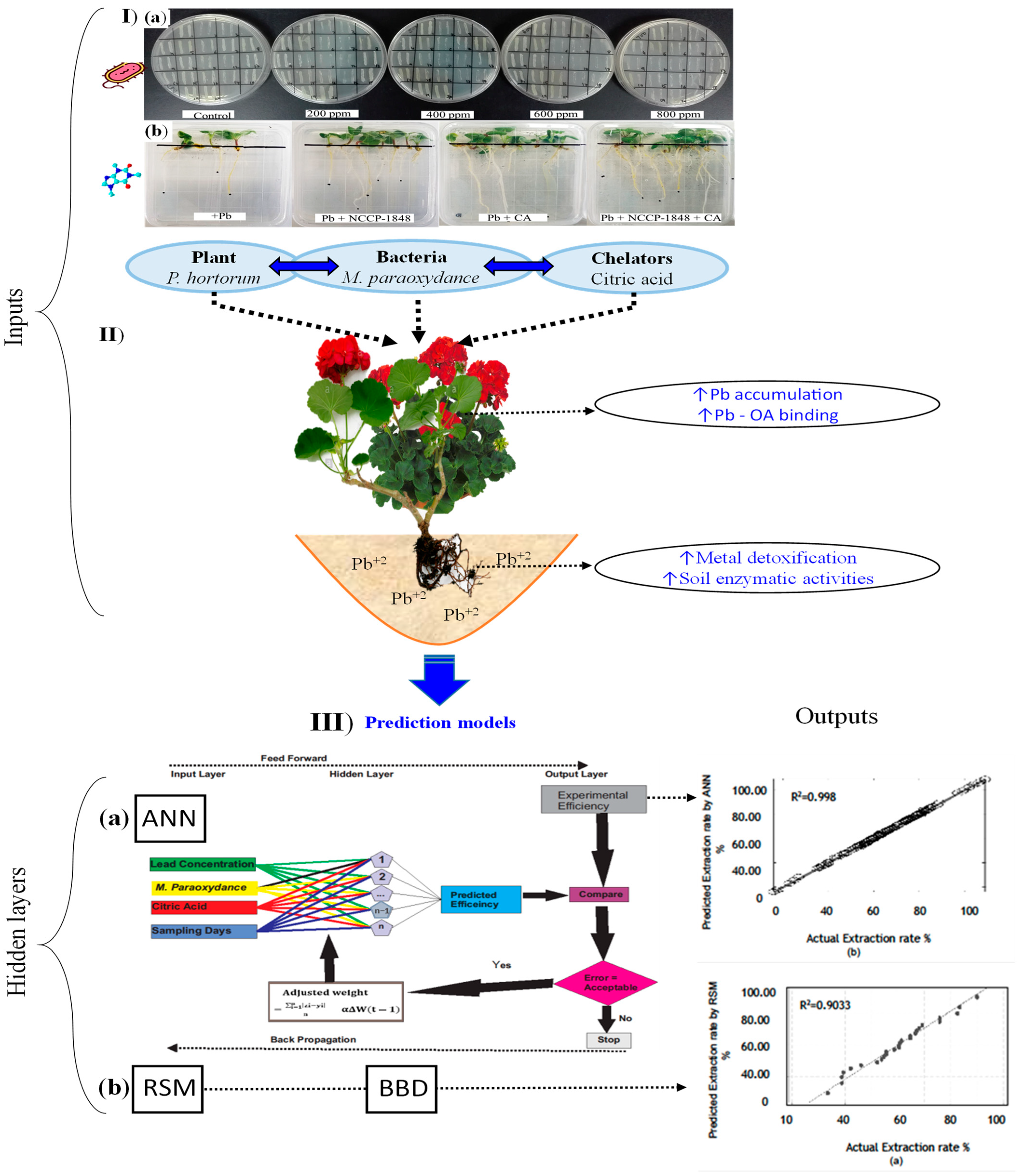 Sustainability 15 11049 g001