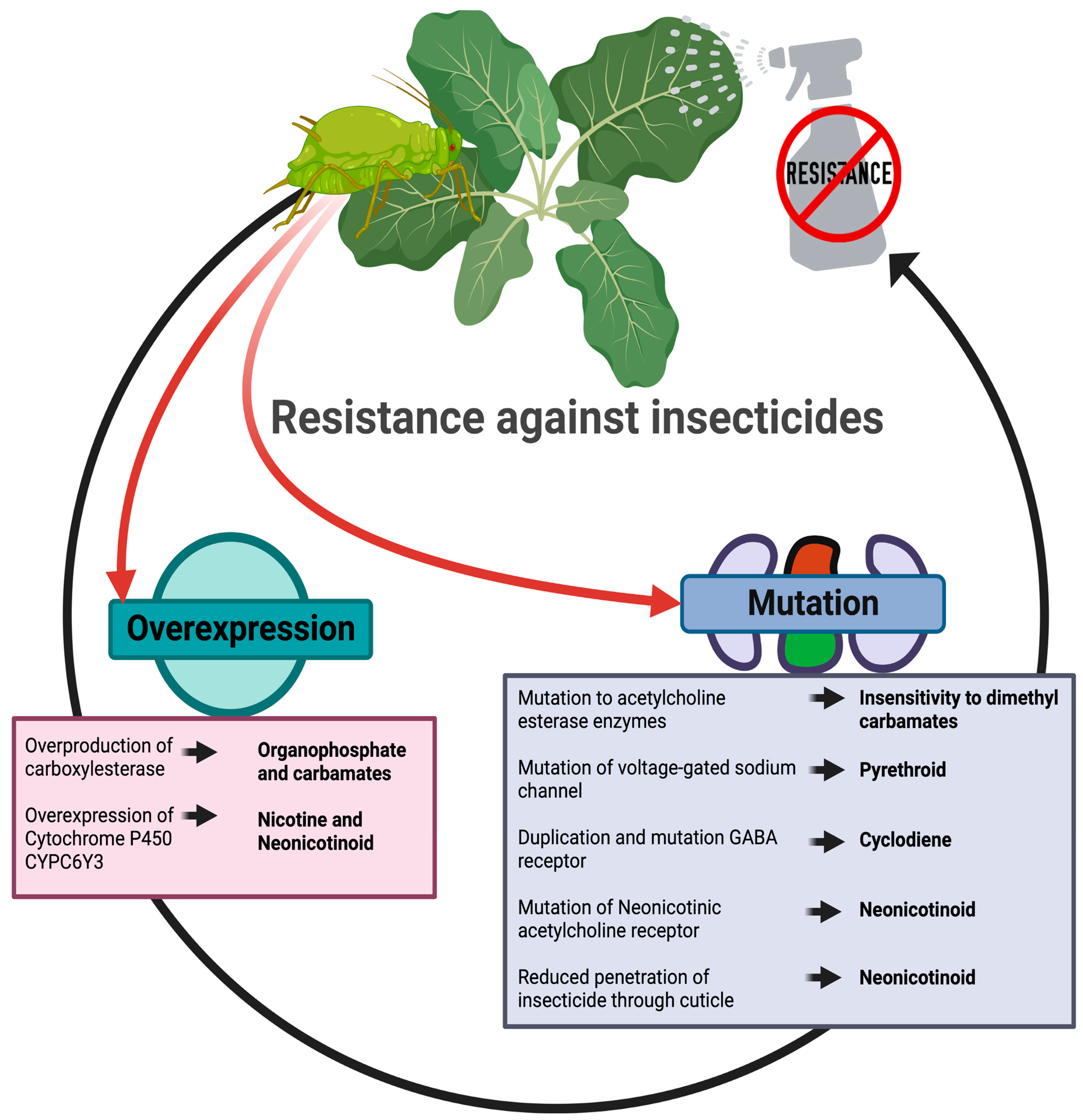 Sustainability 15 11150 g002