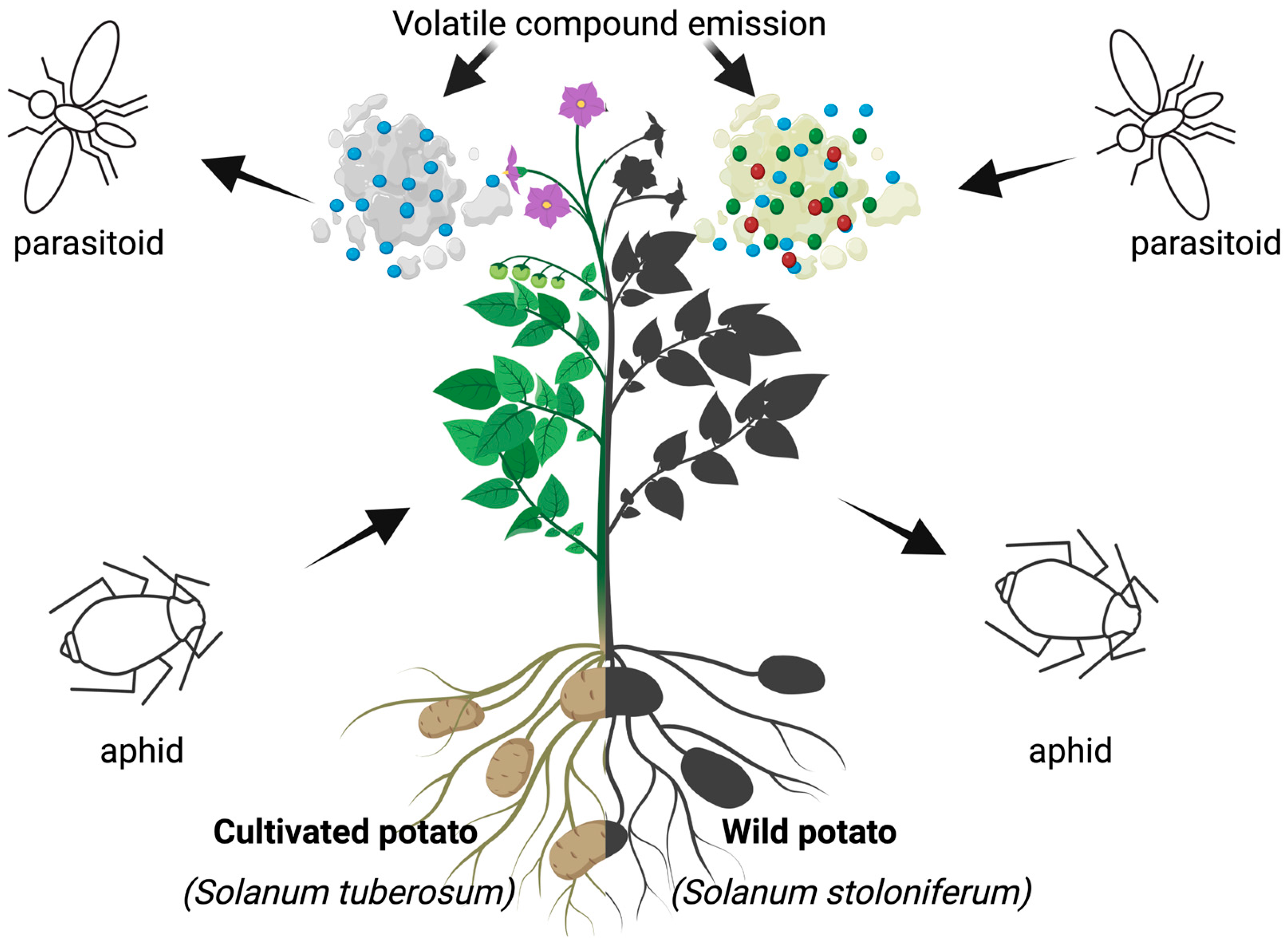 Sustainability 15 11150 g004