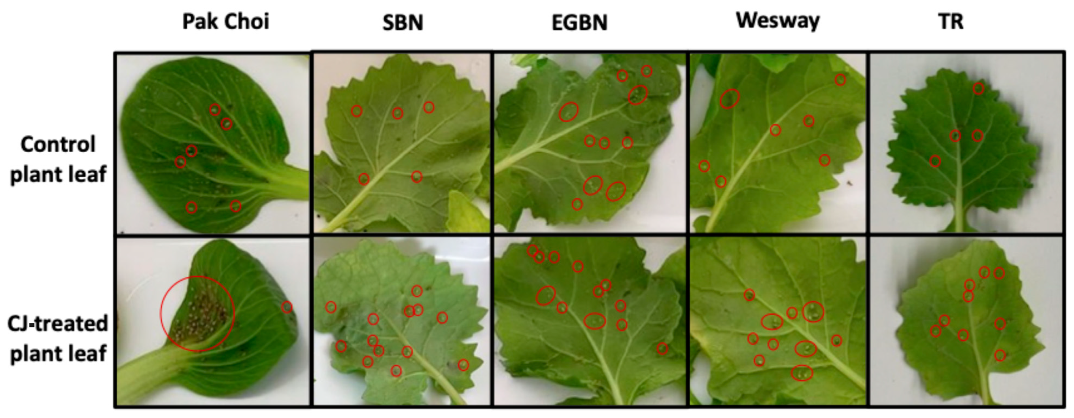 Sustainability 15 11150 g005