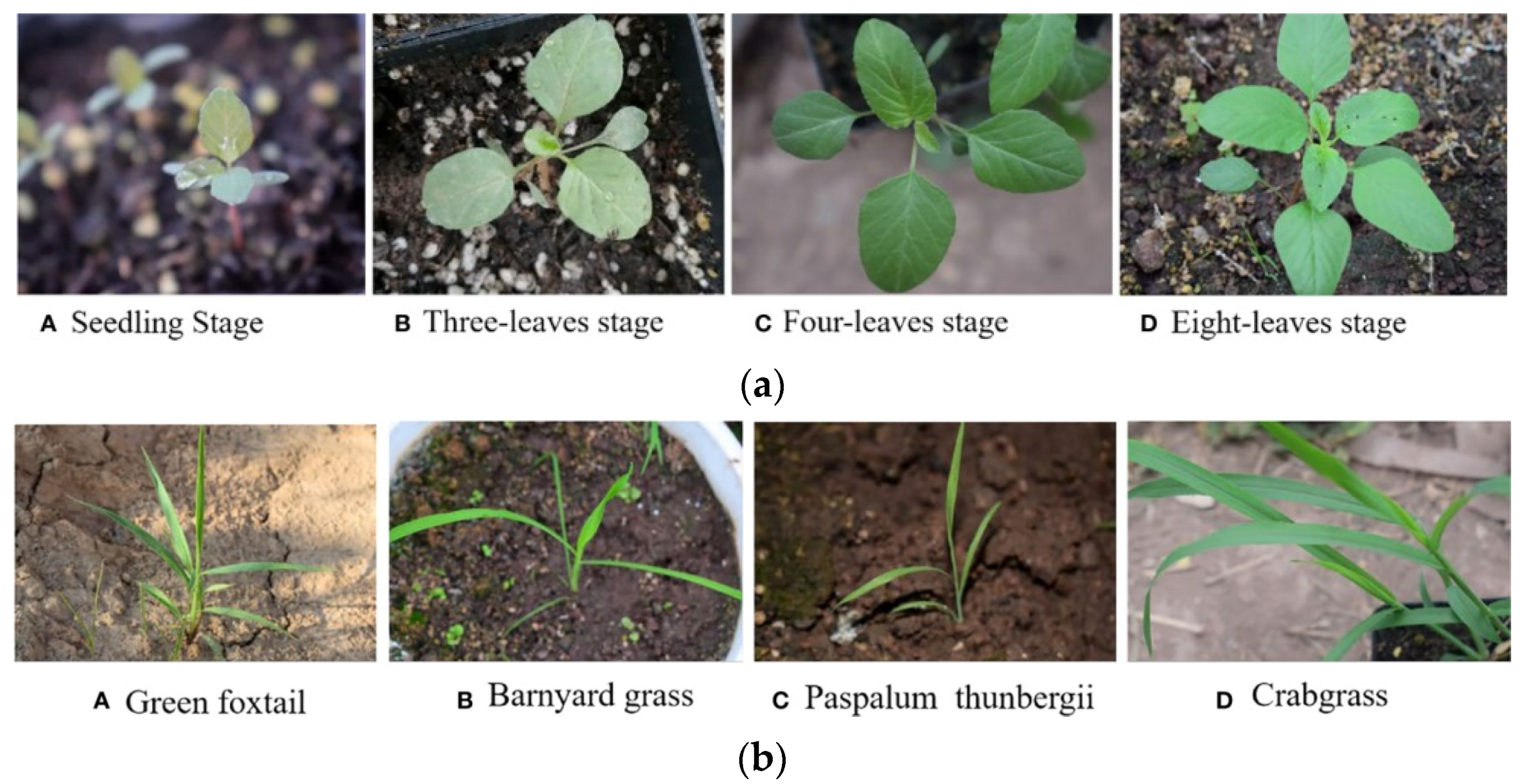 Sustainability 15 11242 g001 Sustainability 15 11242 g001