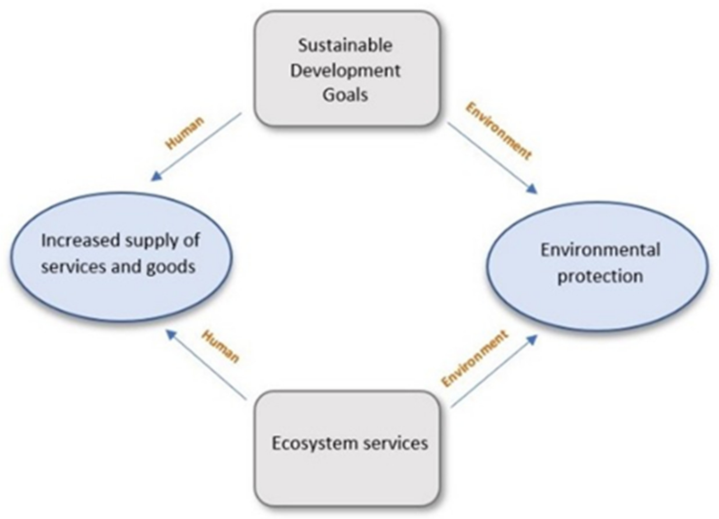 Sustainability 15 11333 g001 Sustainability 15 11333 g001