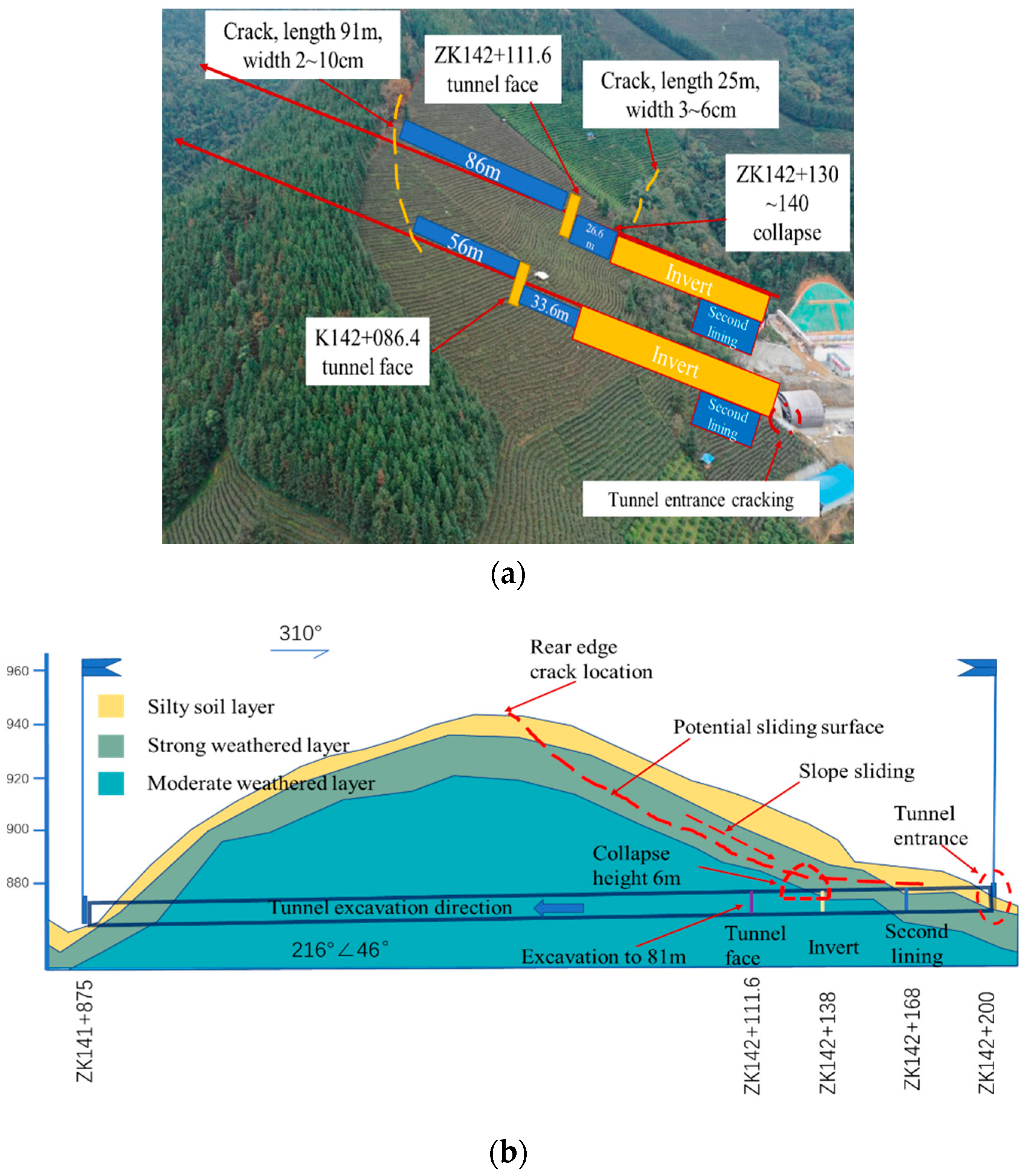 Sustainability 15 11398 g001