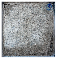 Sustainability 15 11420 i008