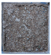 Sustainability 15 11420 i011