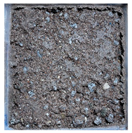 Sustainability 15 11420 i012