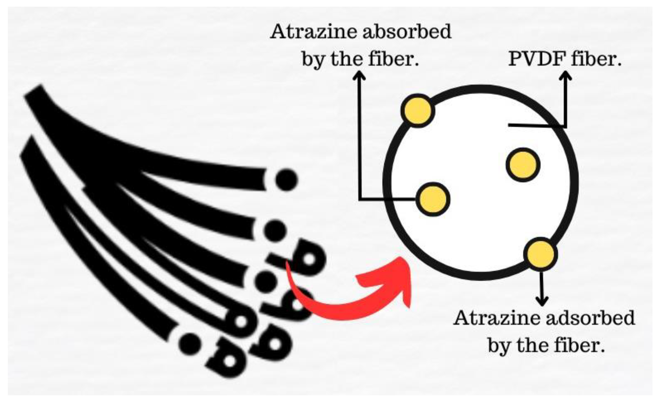 Sustainability 15 11729 g001