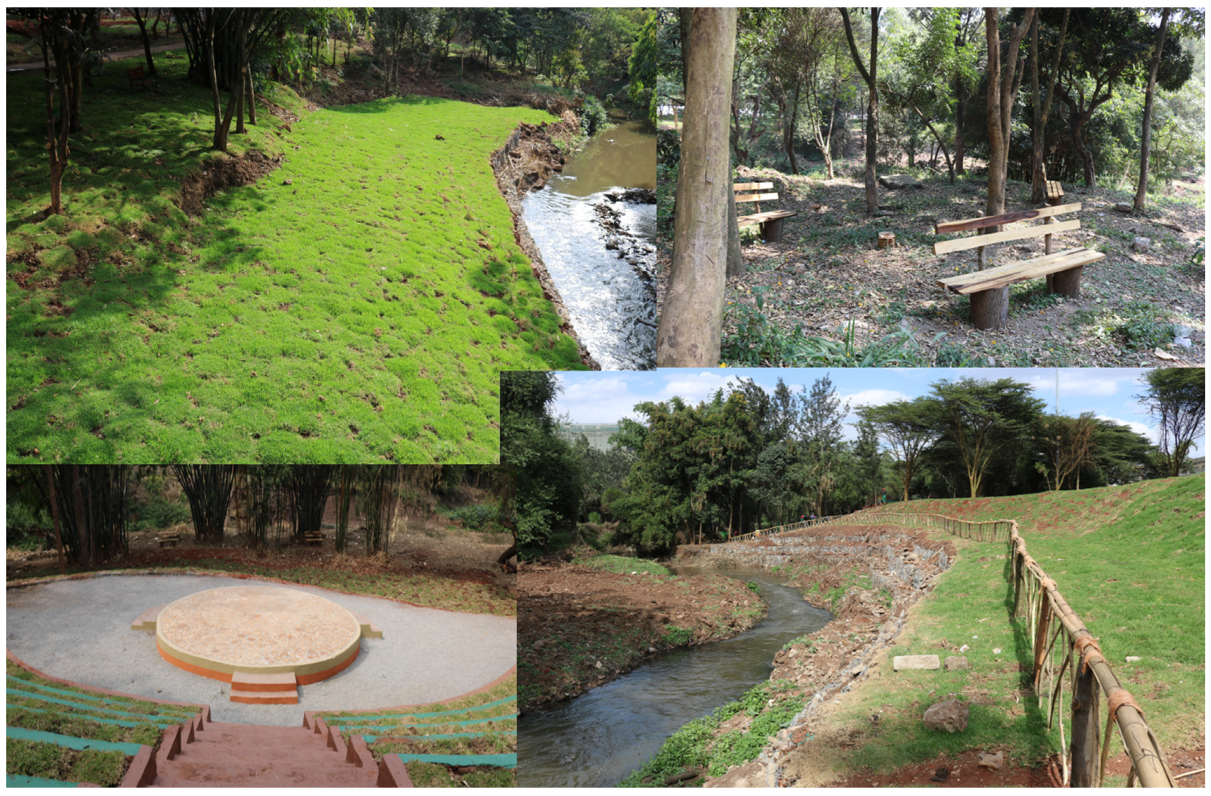 Sustainability 15 11873 g003