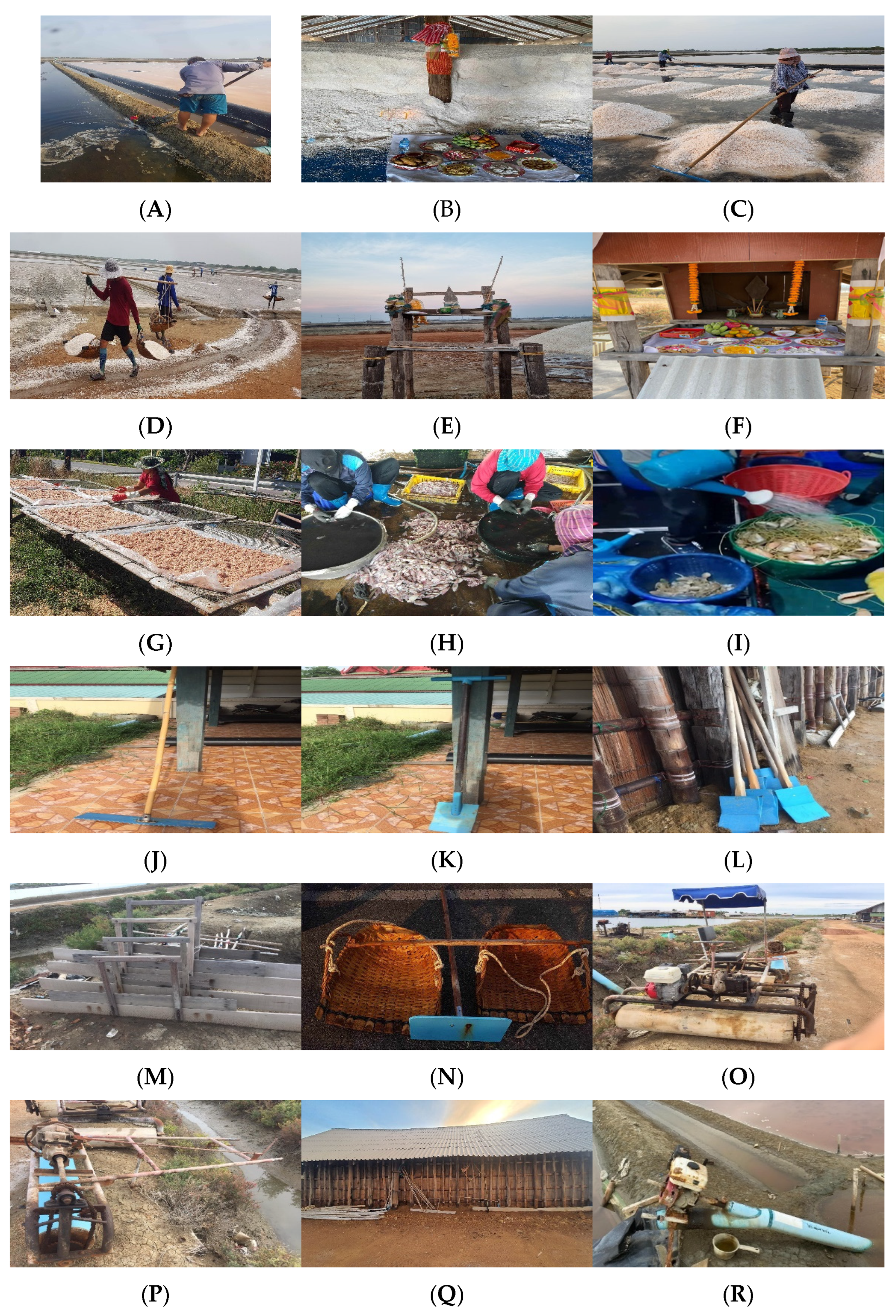 Sustainability 15 11947 g003 Sustainability 15 11947 g003