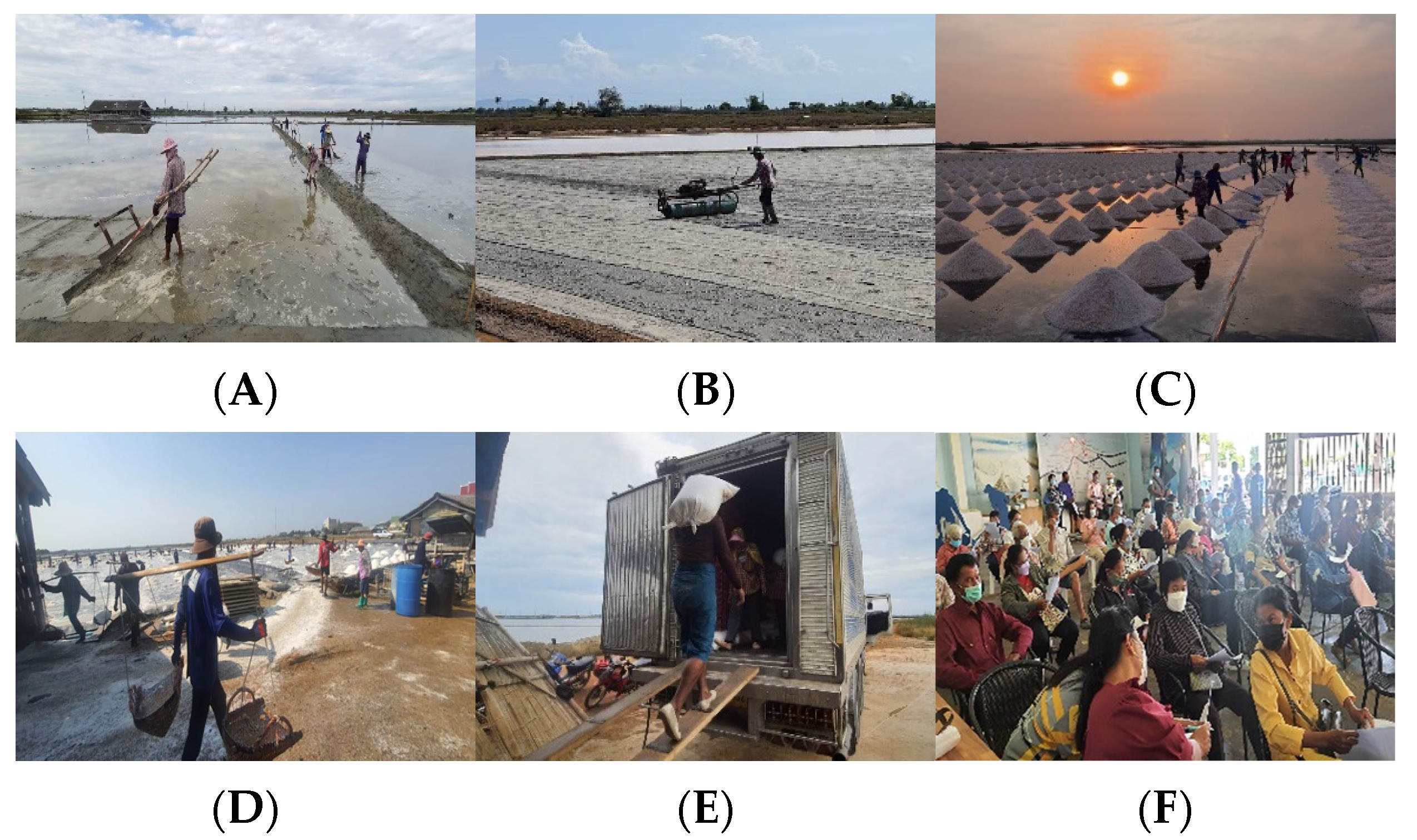 Sustainability 15 11947 g004 Sustainability 15 11947 g004