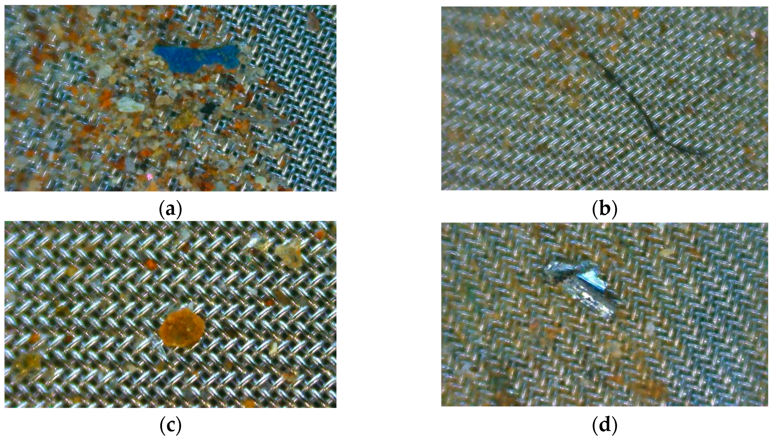 Sustainability 15 12057 g005