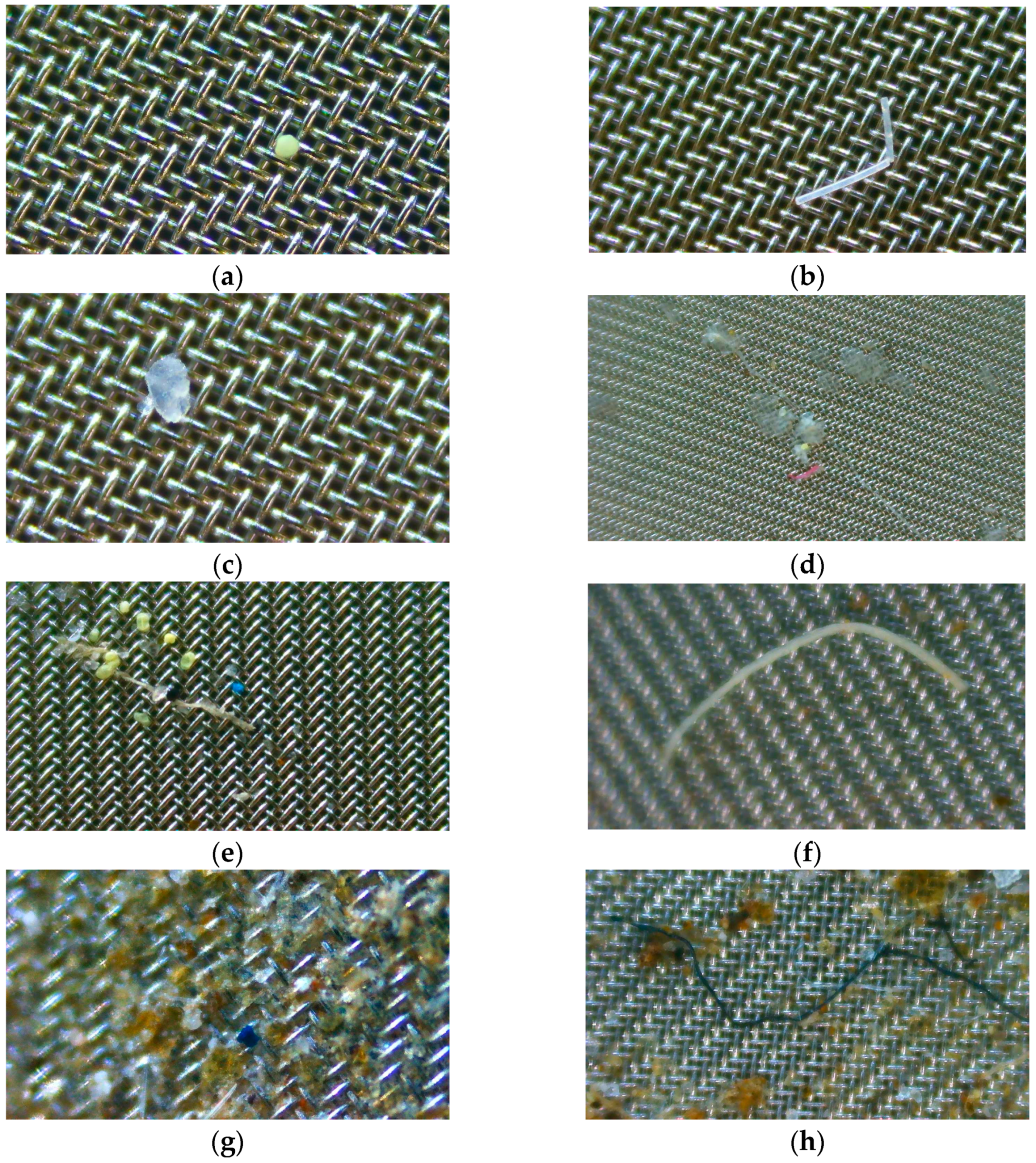 Sustainability 15 12057 g006