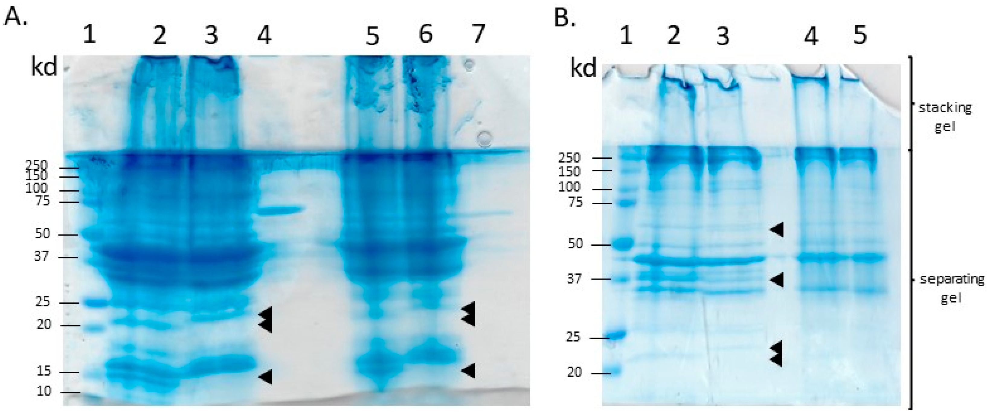 Sustainability 15 12062 g001 Sustainability 15 12062 g001