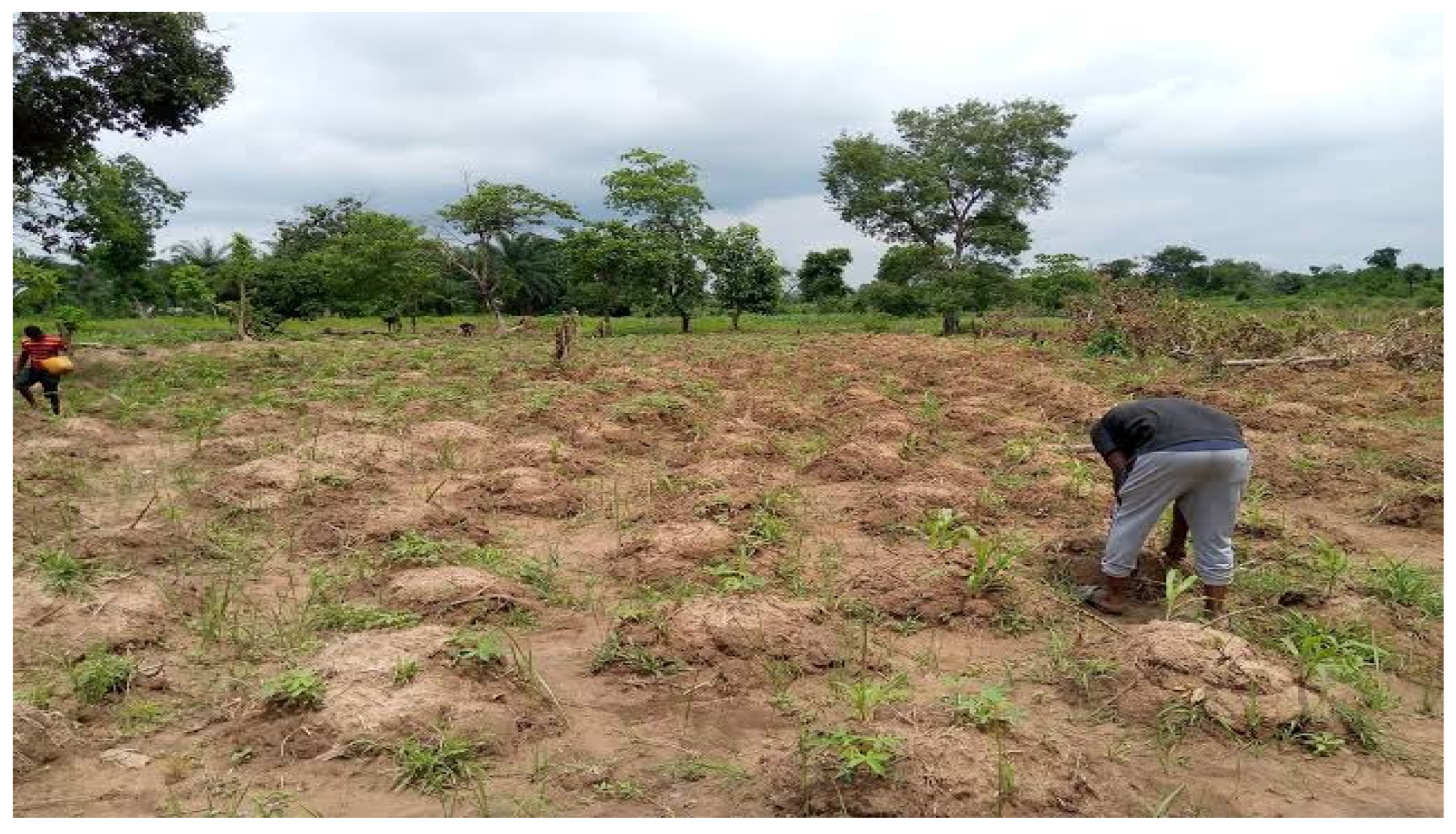 Sustainability 15 12224 g006