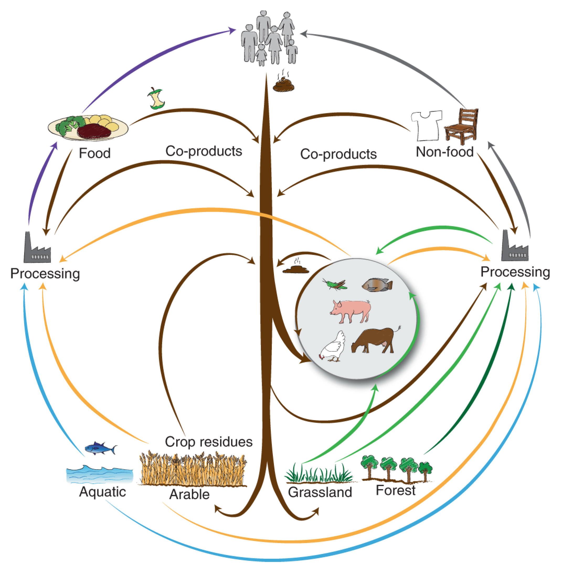Sustainability 15 12239 g001