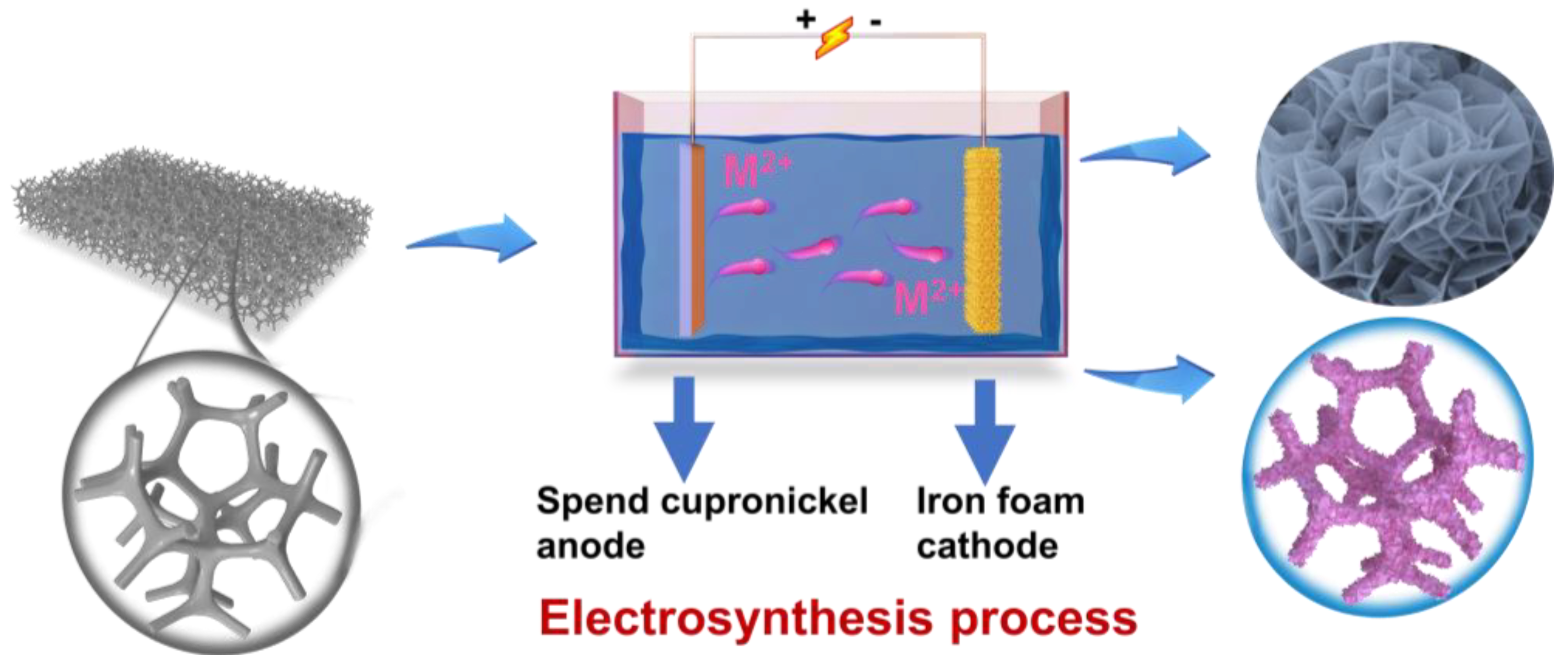 Sustainability 15 12240 sch001 Sustainability 15 12240 sch001