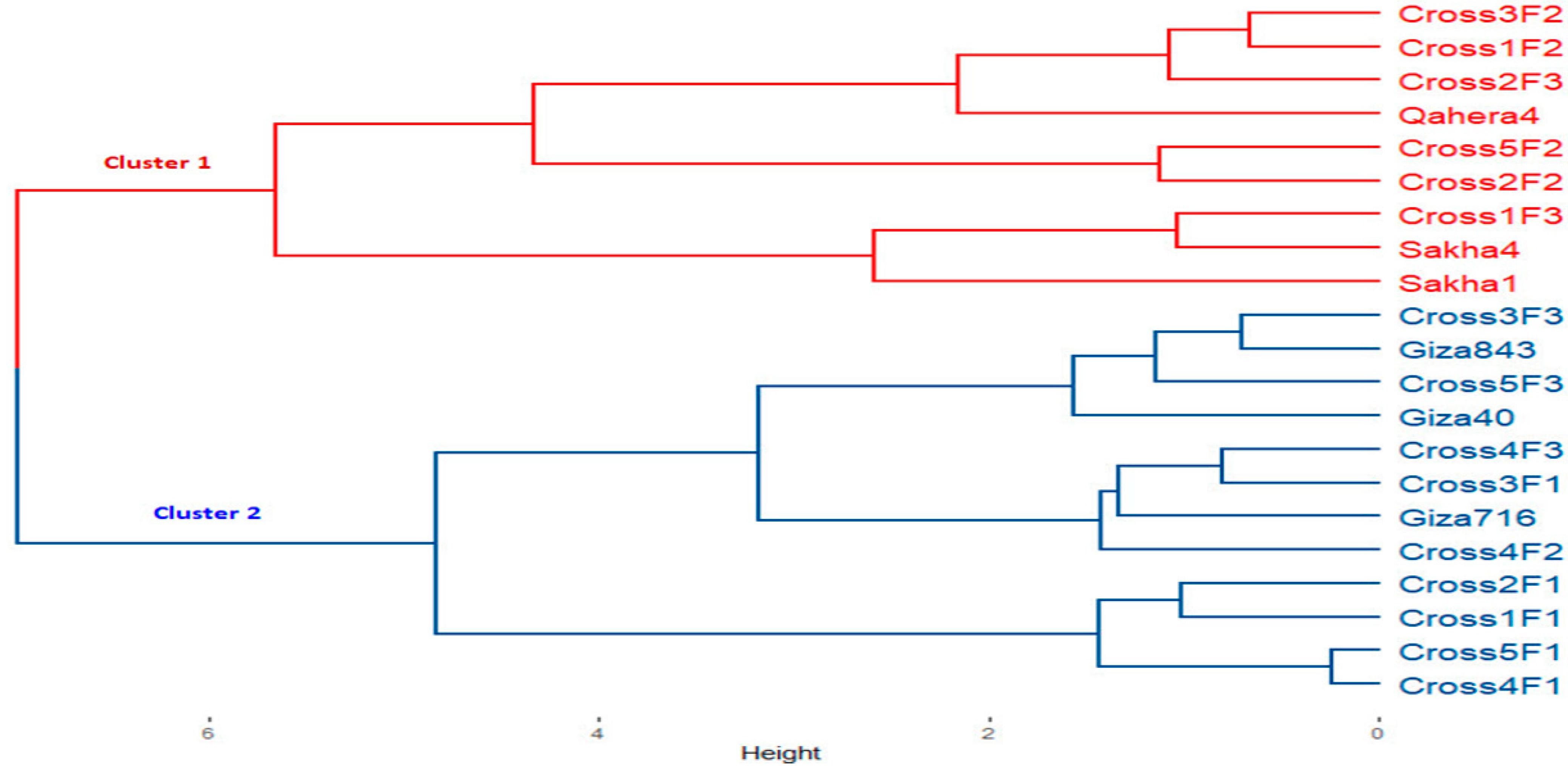 Sustainability 15 12313 g002 Sustainability 15 12313 g002