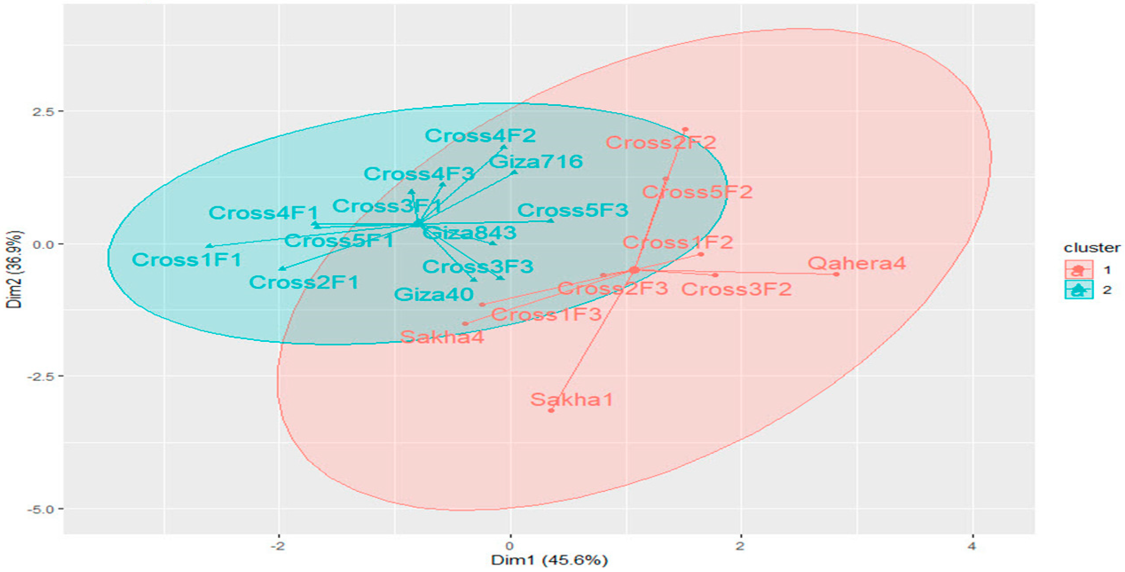 Sustainability 15 12313 g003 Sustainability 15 12313 g003