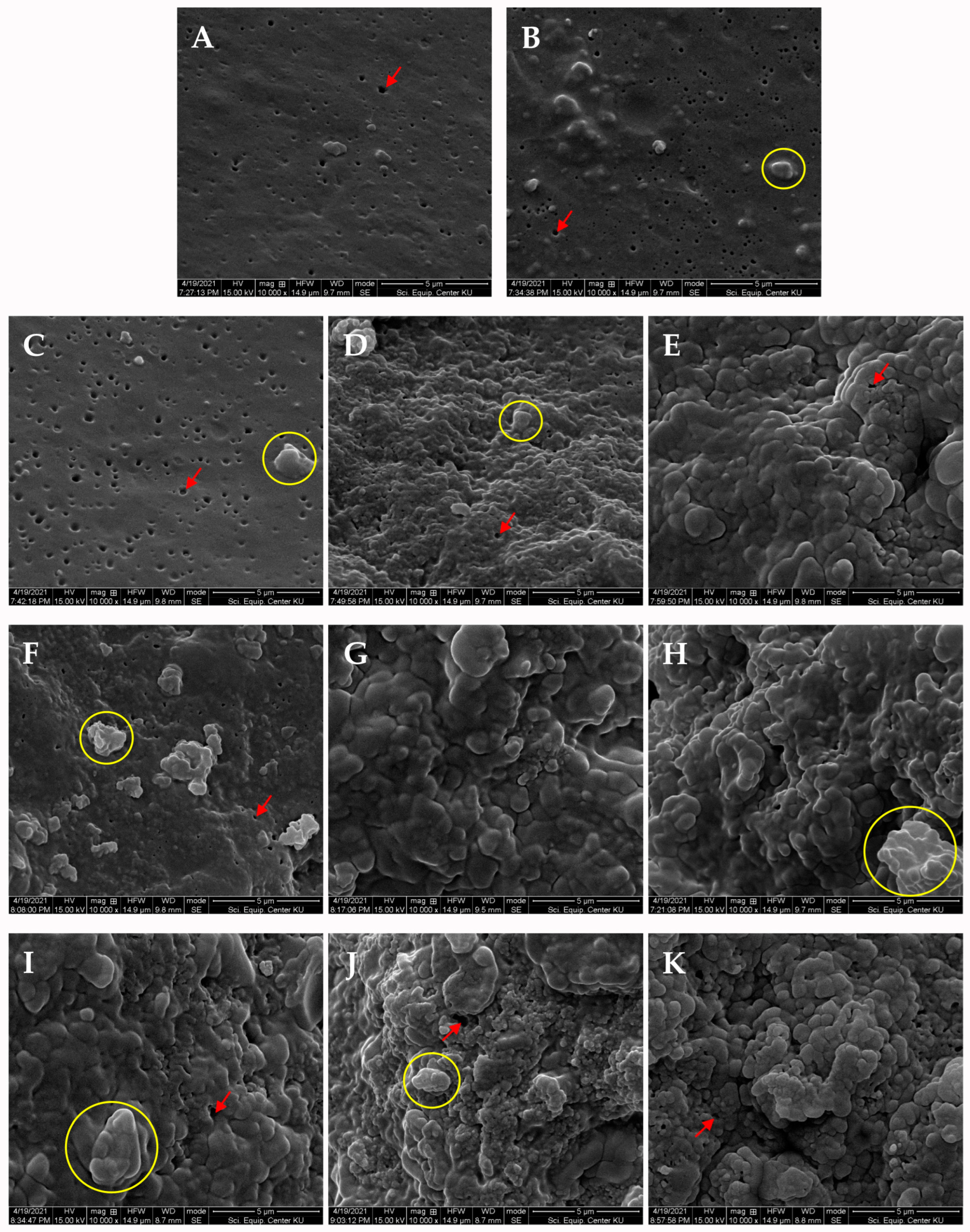 Sustainability 15 12395 g001