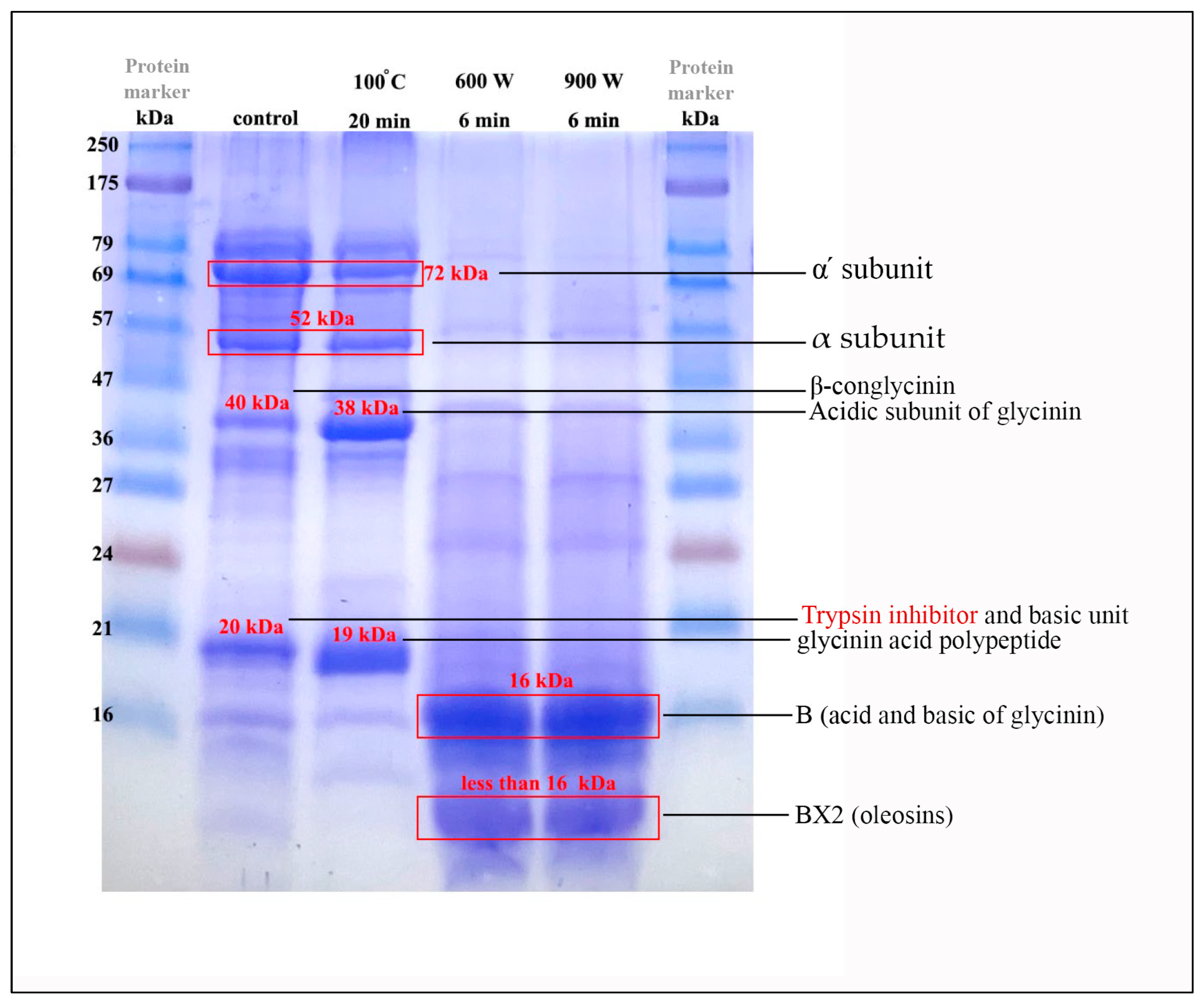 Sustainability 15 12395 g002