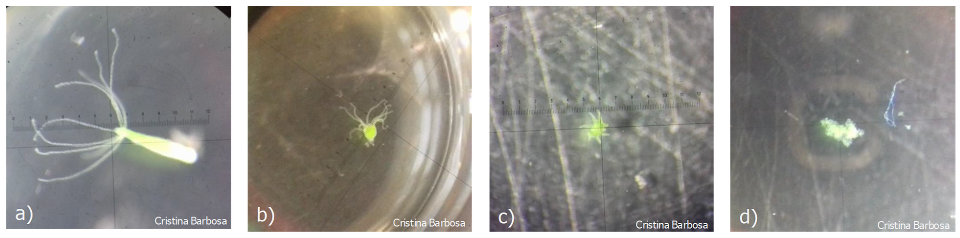 Sustainability 15 12428 g003