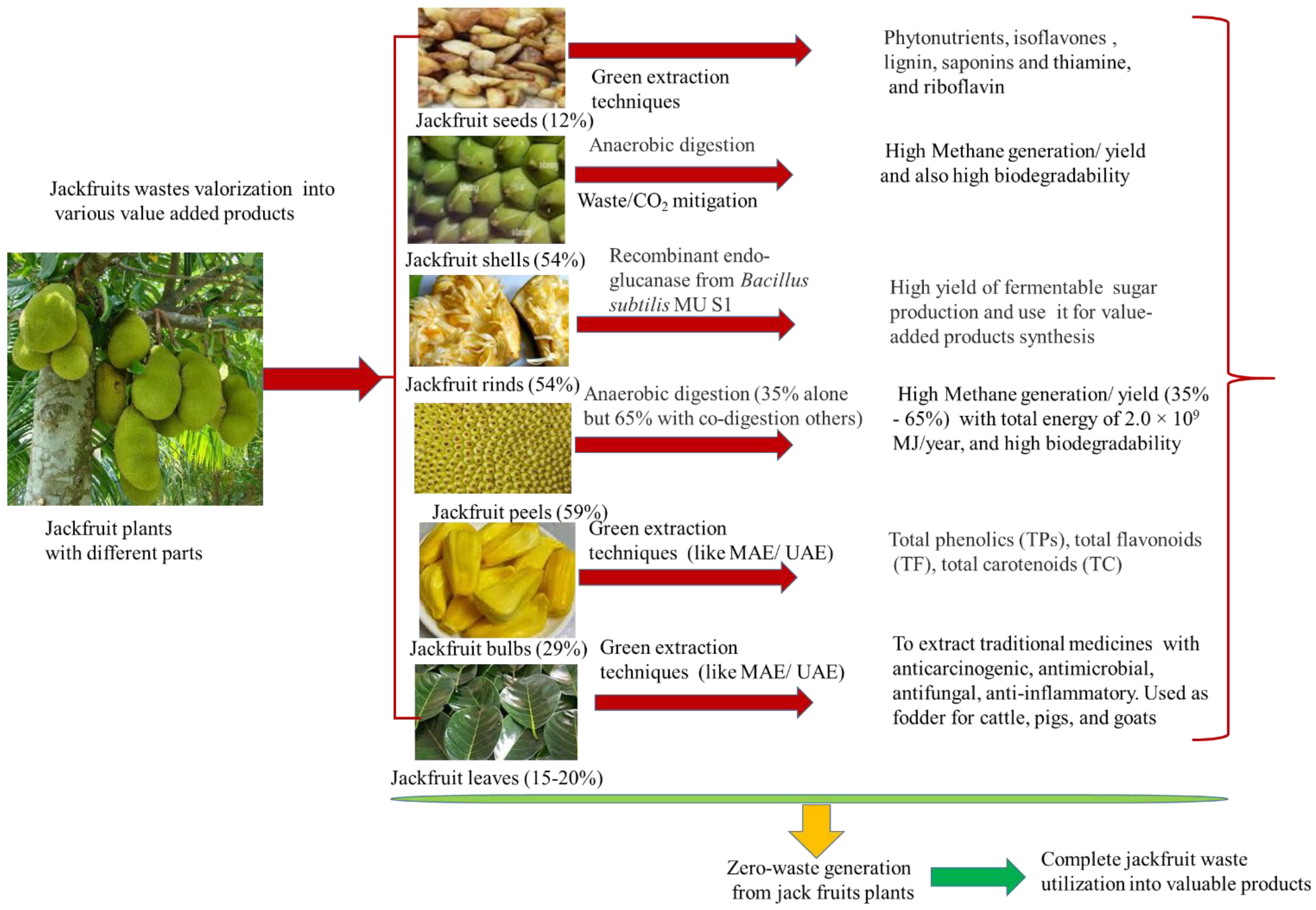 Sustainability 15 12520 g002