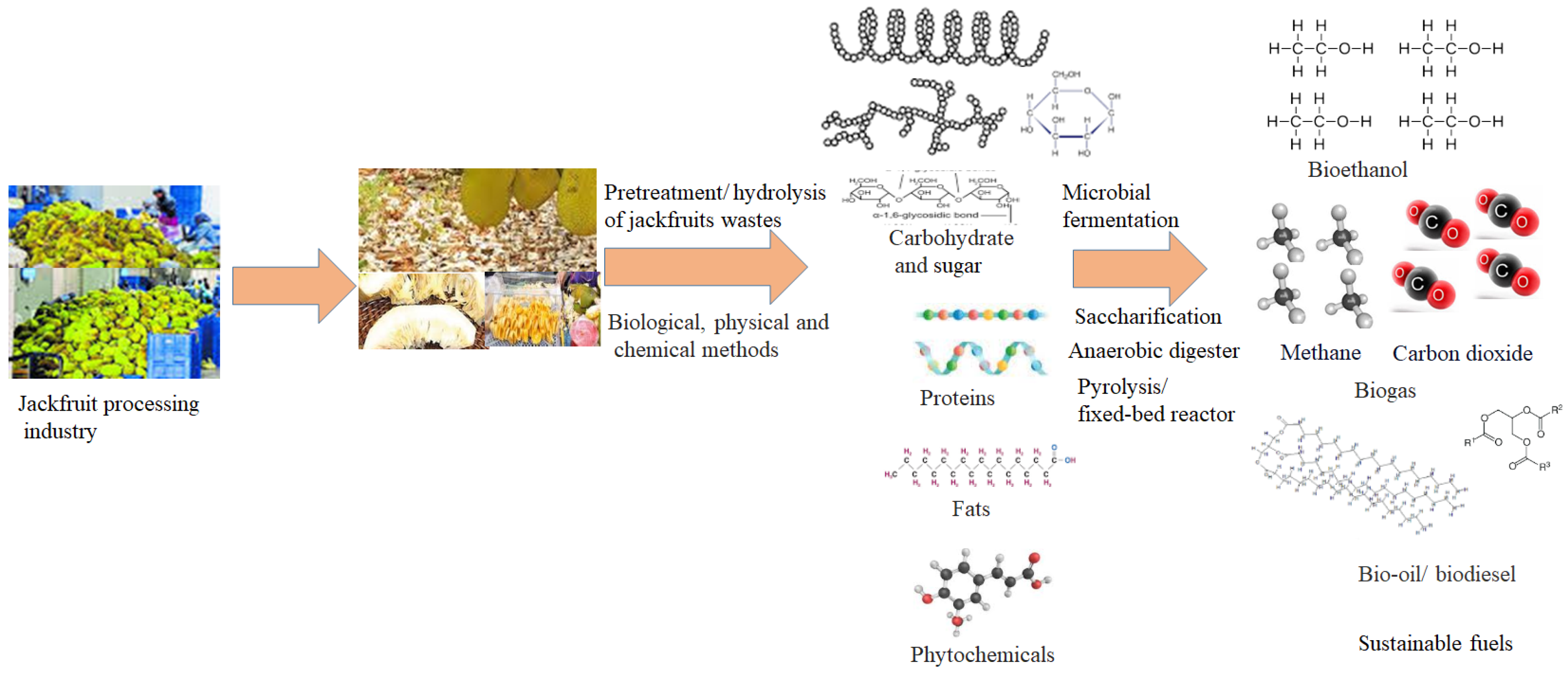 Sustainability 15 12520 g005