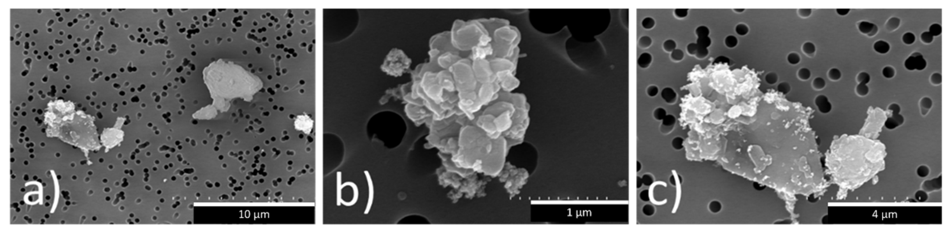 Sustainability 15 12544 g008