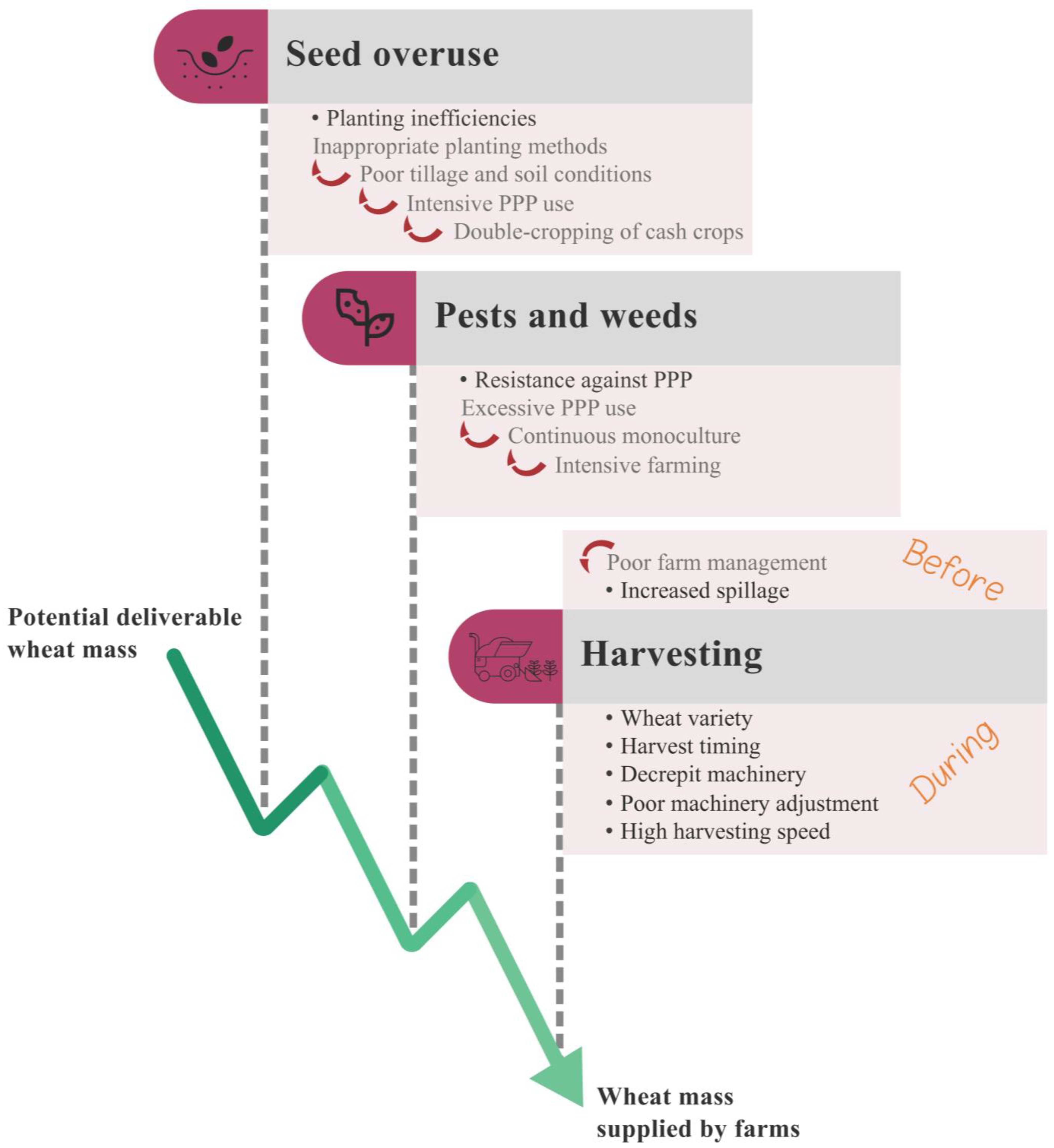 Sustainability 15 12569 g001