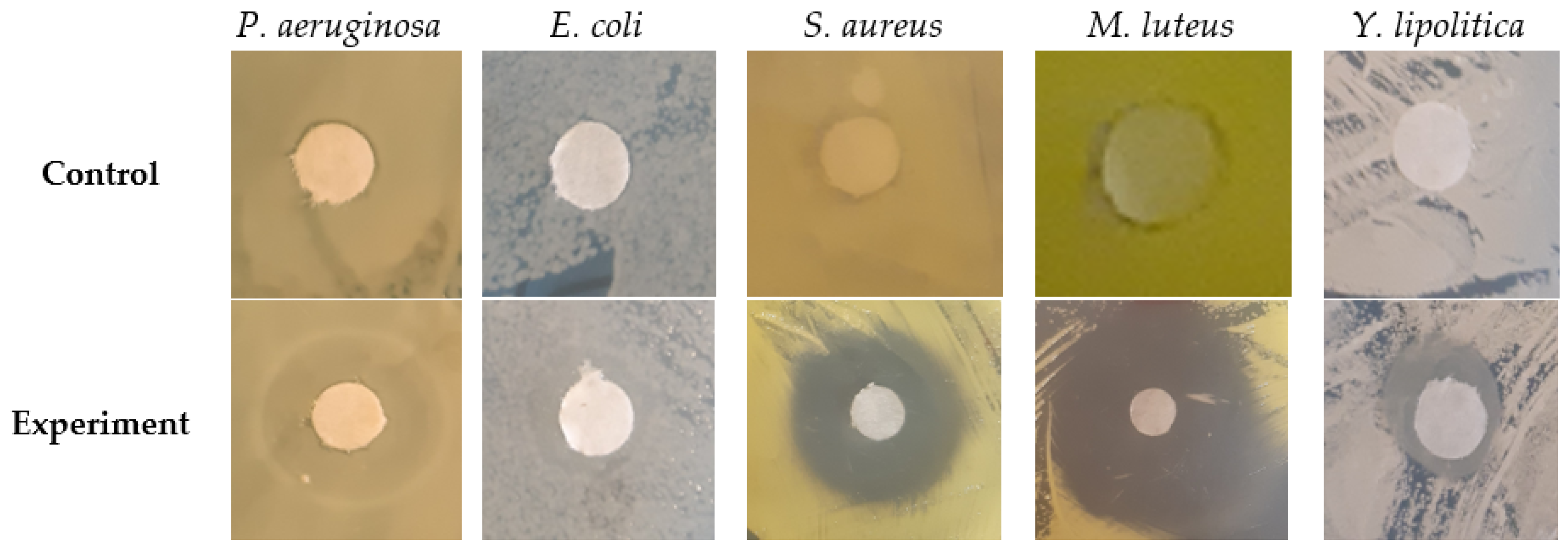 Sustainability 15 12580 g003