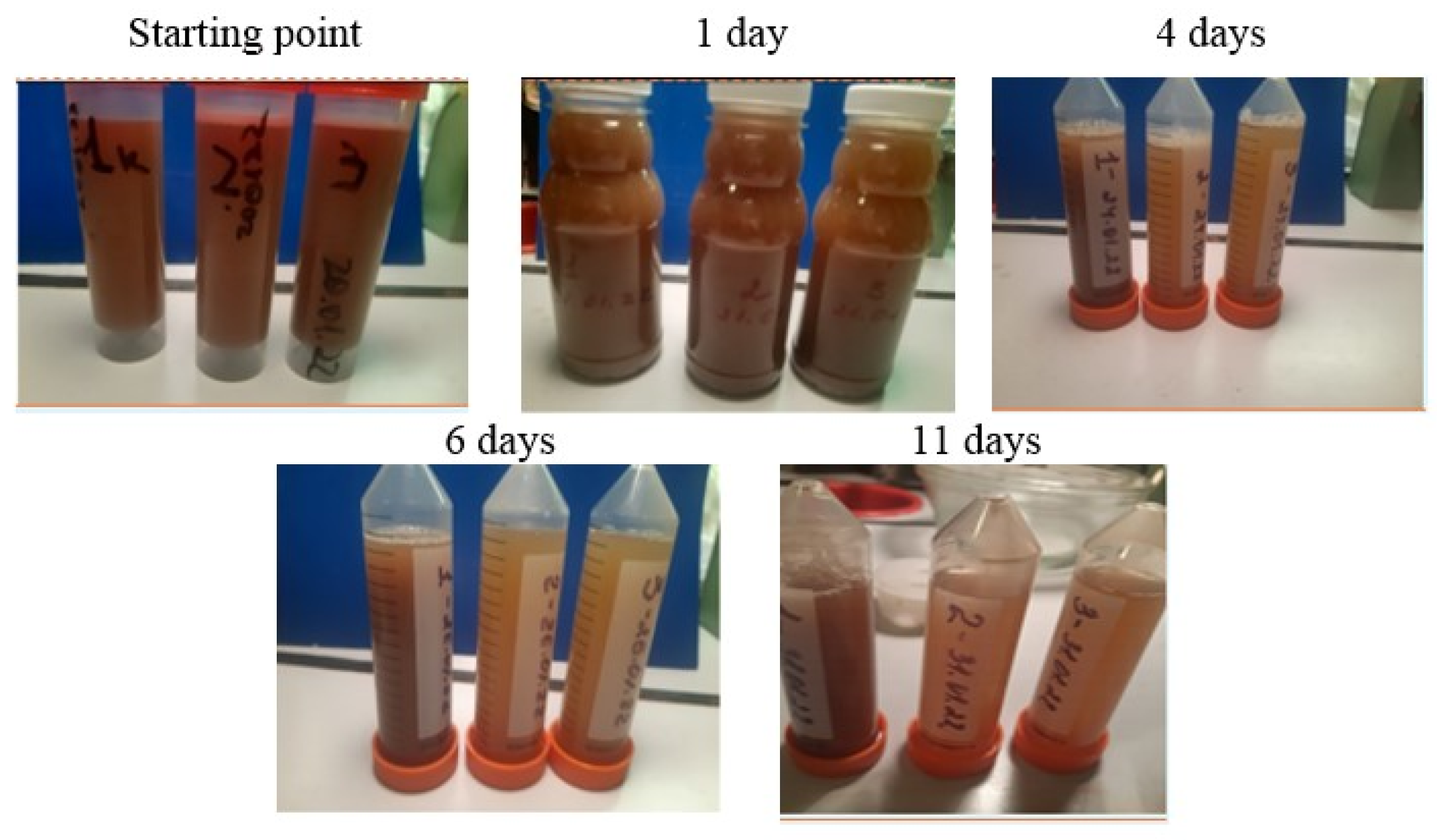 Sustainability 15 12580 g004