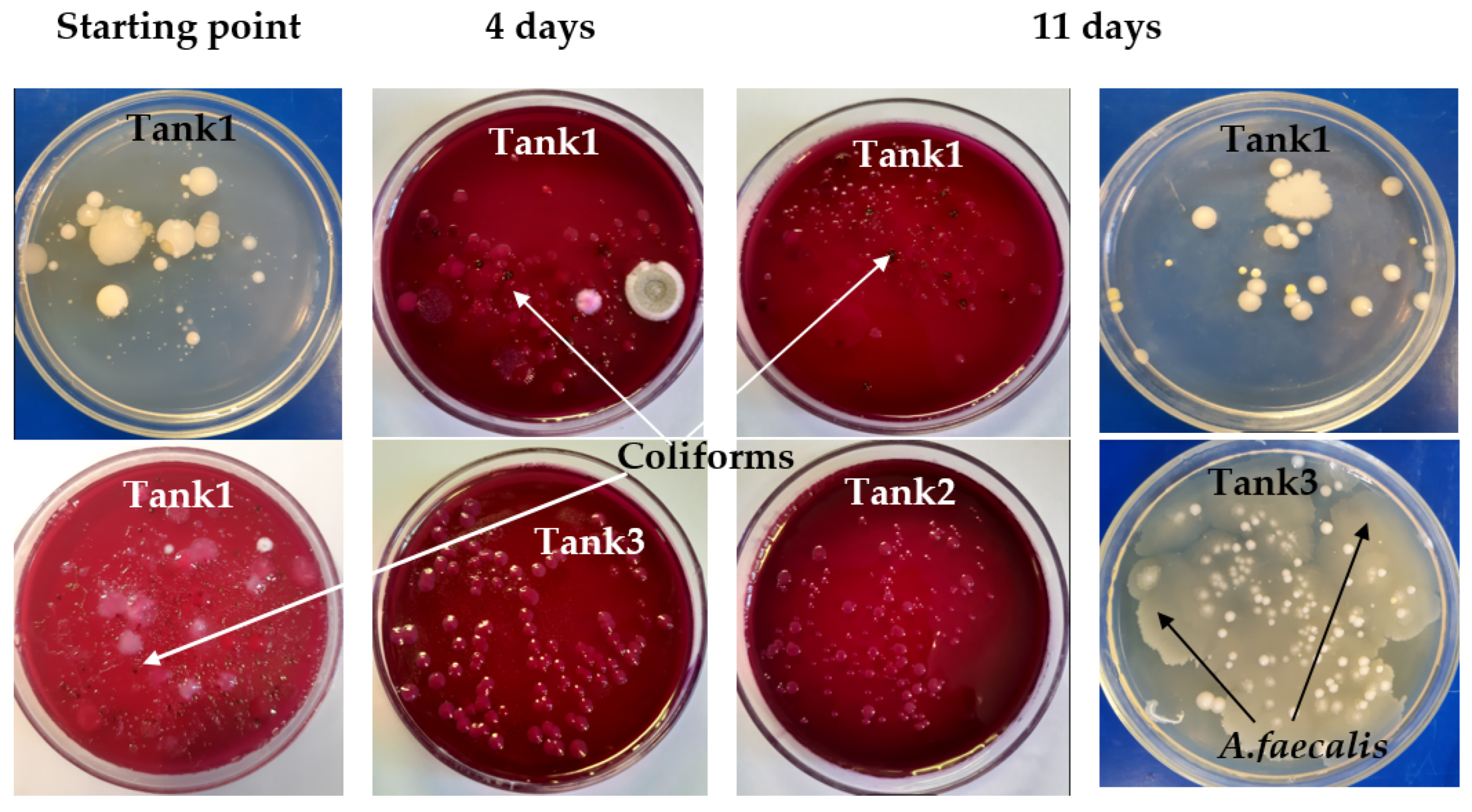 Sustainability 15 12580 g005