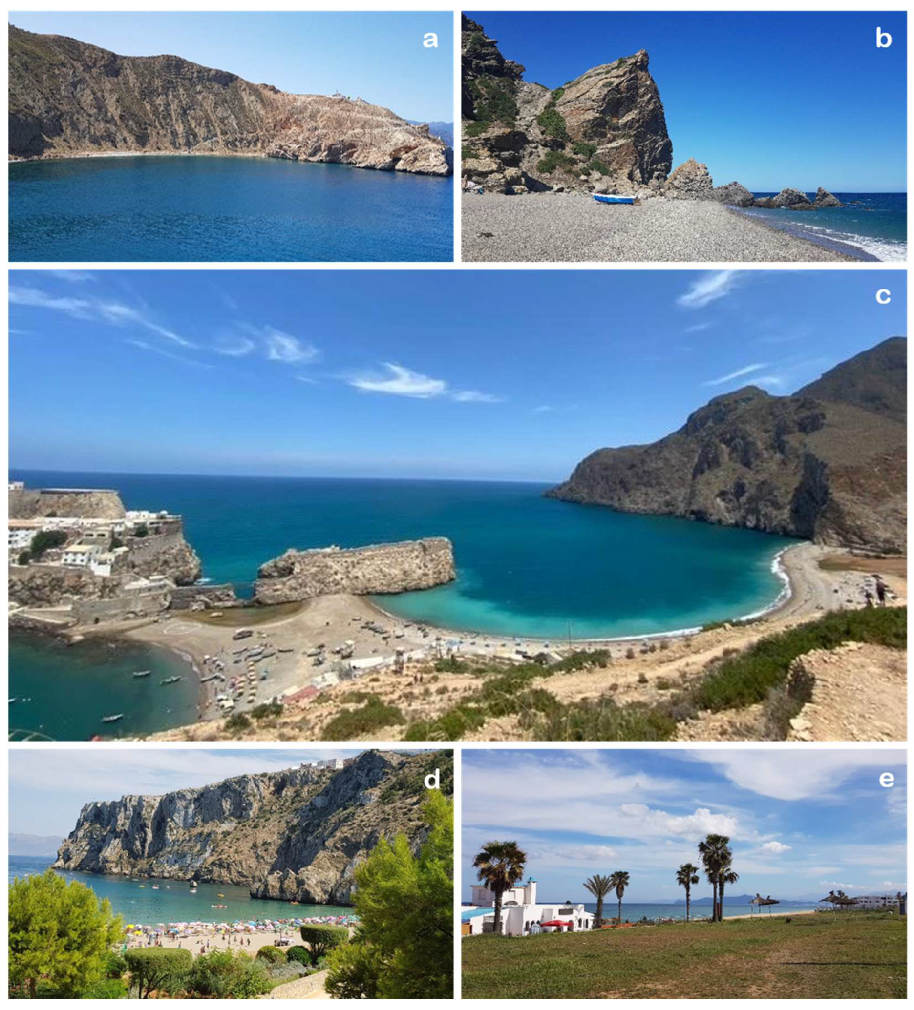 Sustainability 15 12581 g006