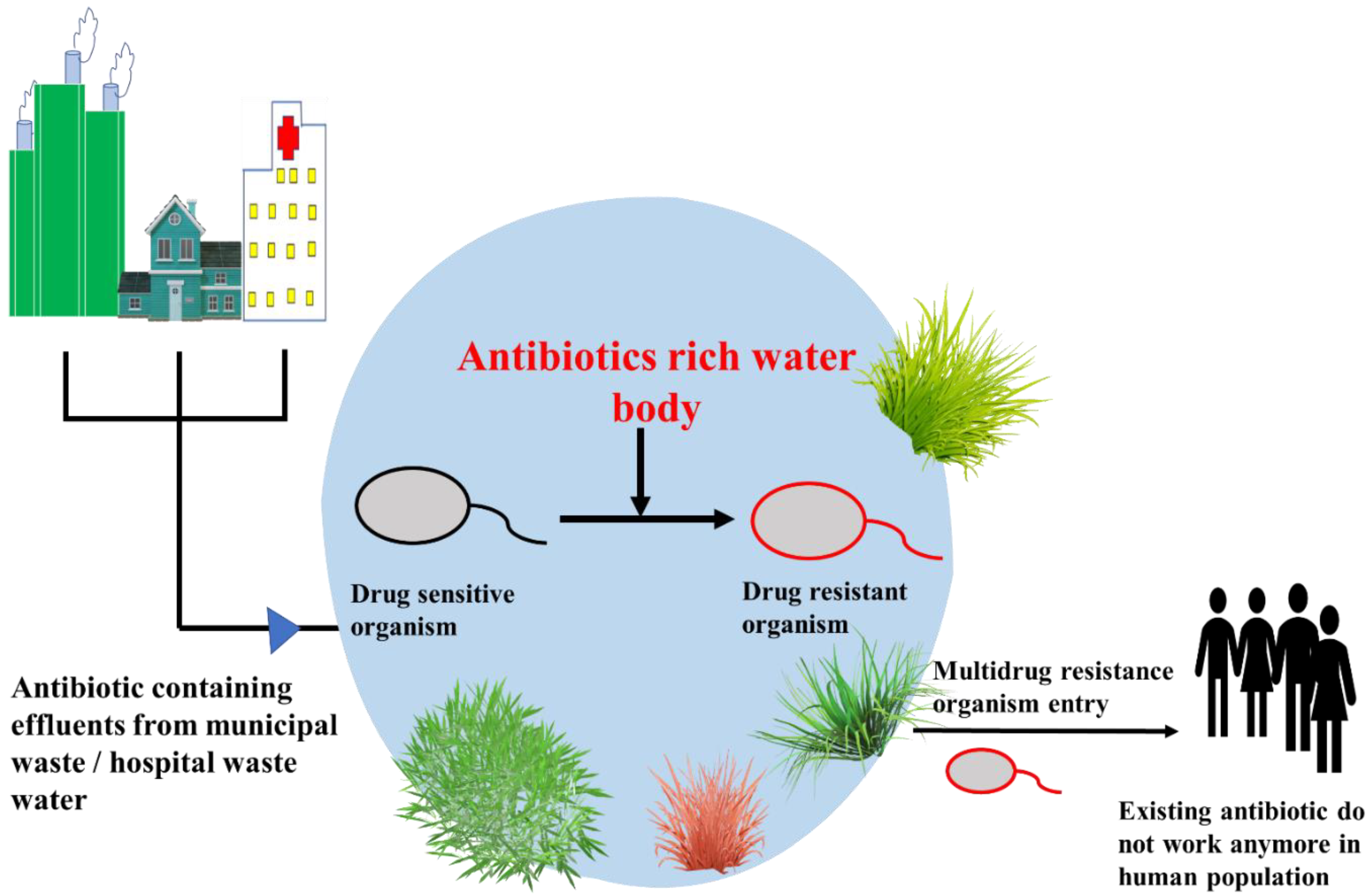 Sustainability 15 12639 g004