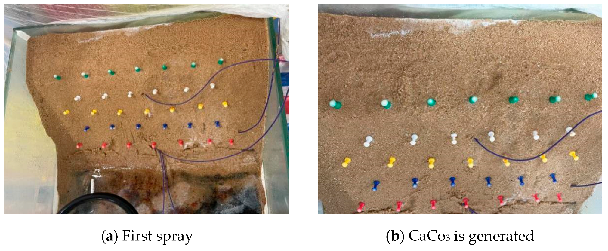 Sustainability 15 12650 g010