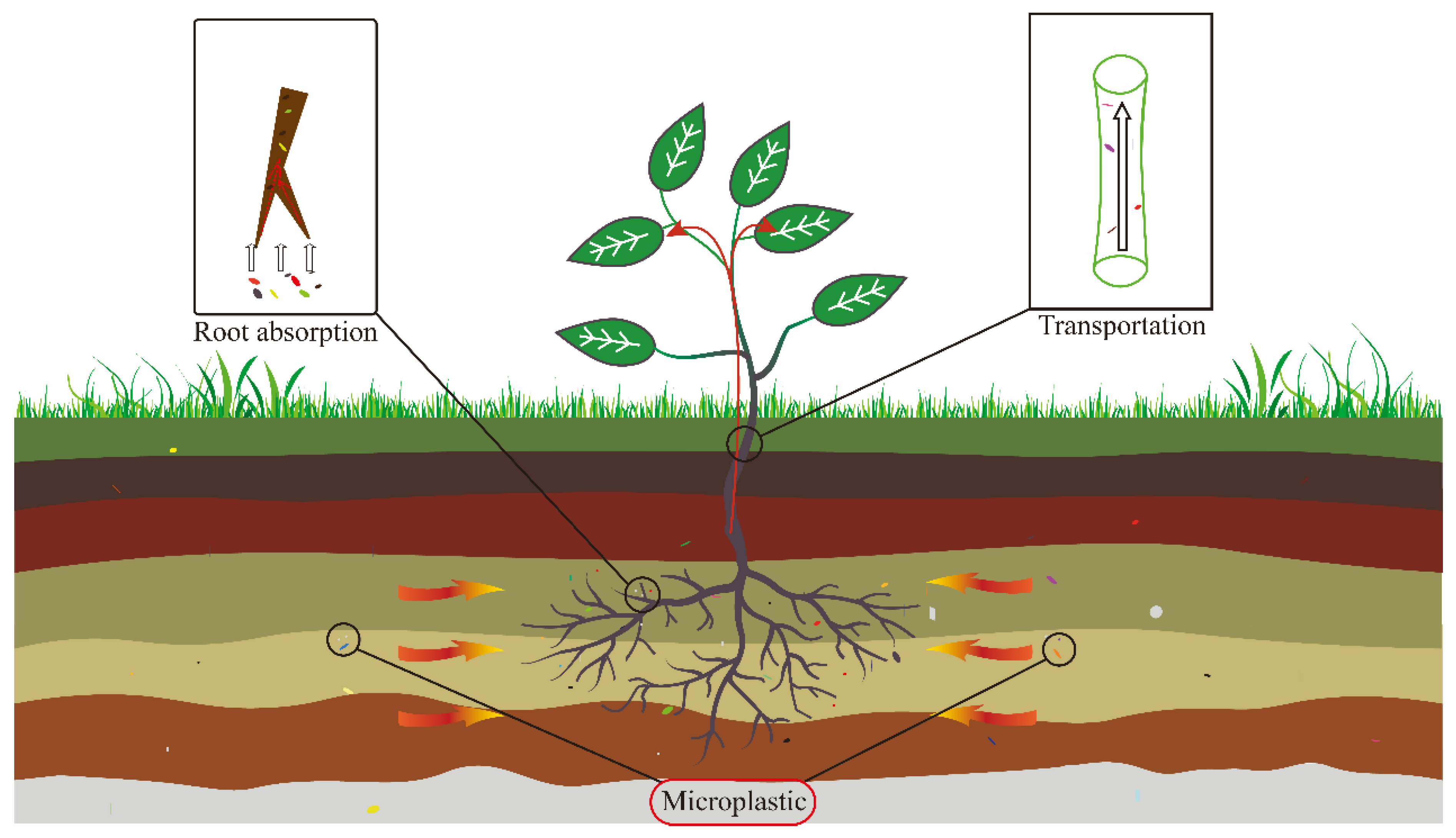 Sustainability 15 12698 g002