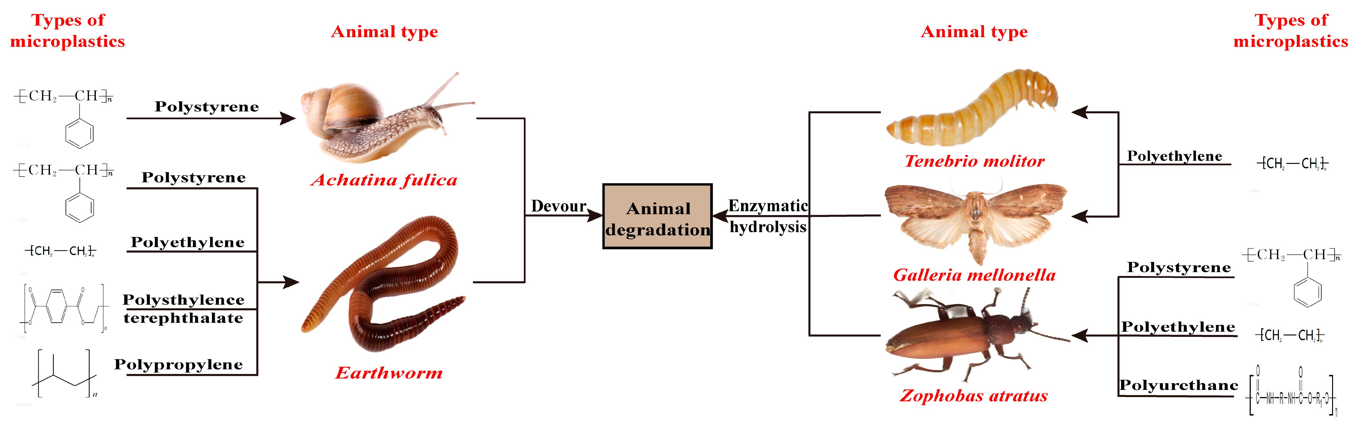 Sustainability 15 12698 g003